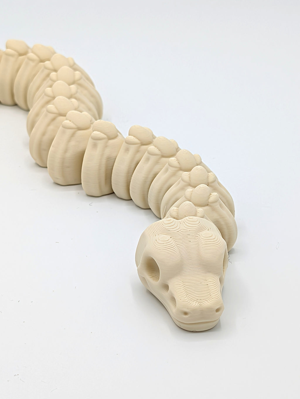 Serpente scheletro fossile fidget