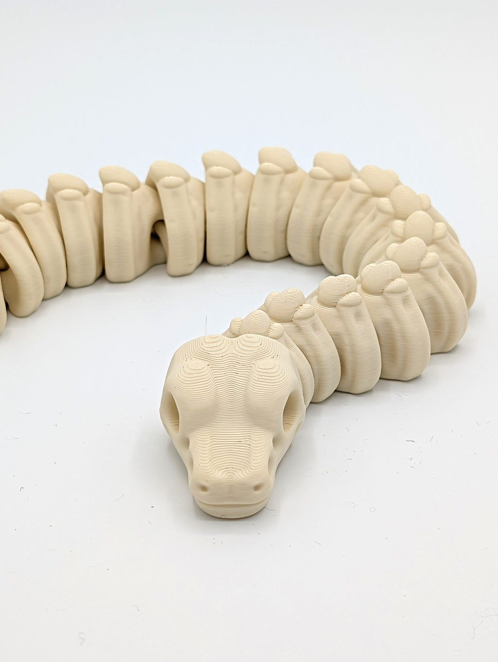 Serpente scheletro fossile fidget