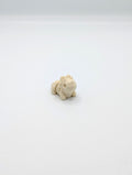 Triceratopo scheletro fossile mini fidget