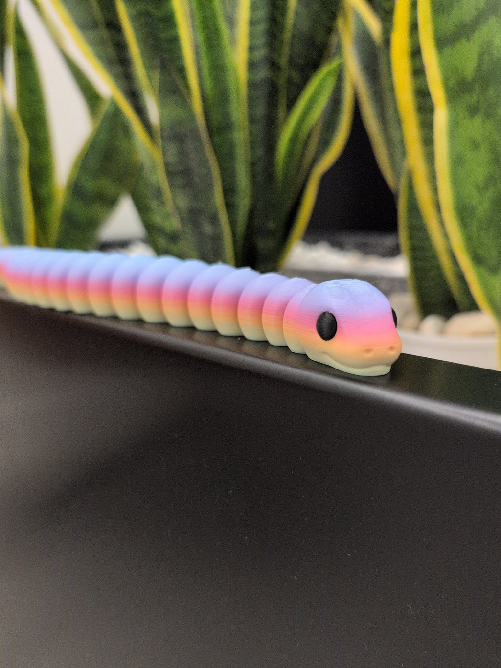 Maxi Fidget Rainbow Snake