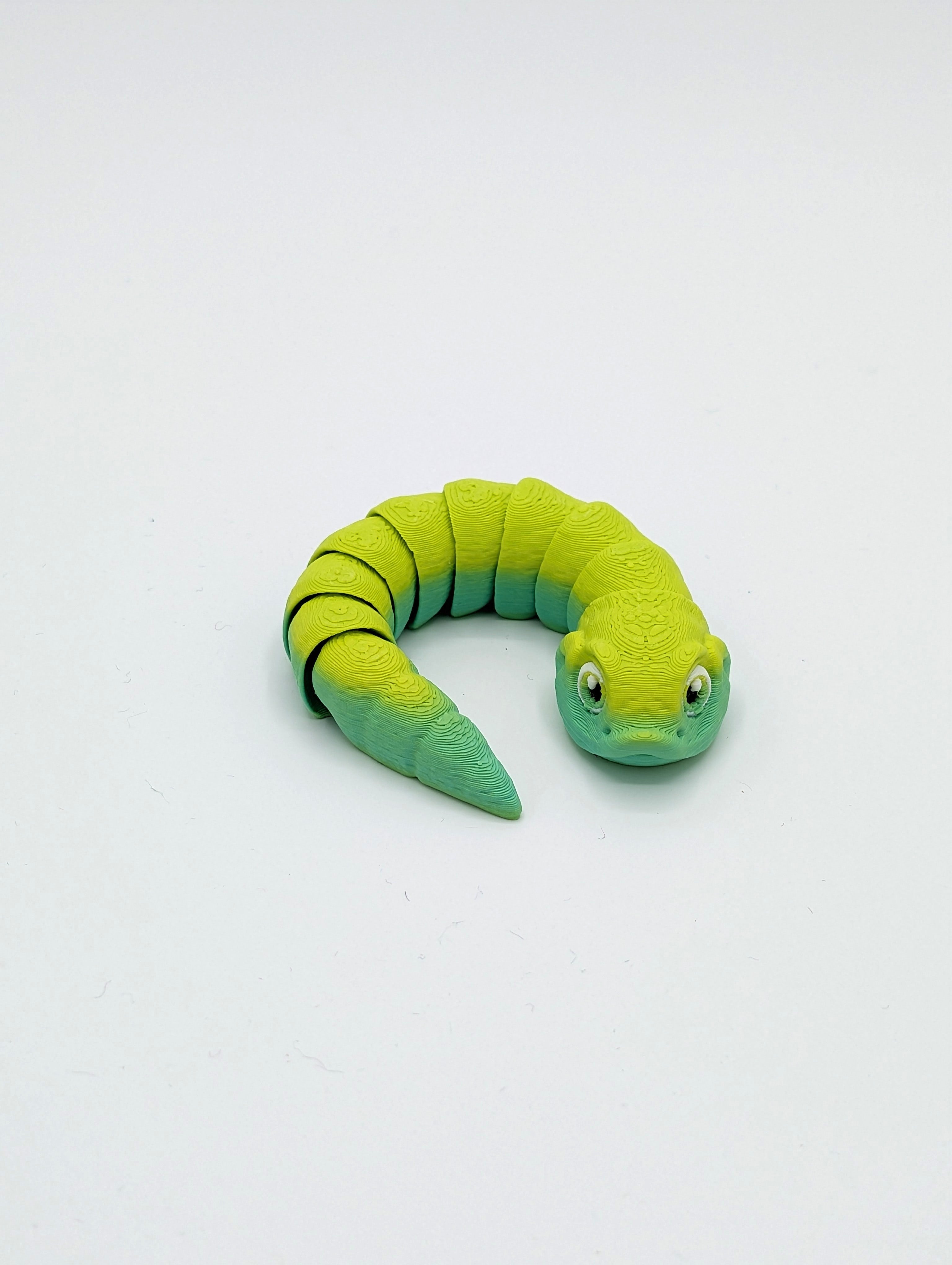 Serpente muso di porco Baby Fidget