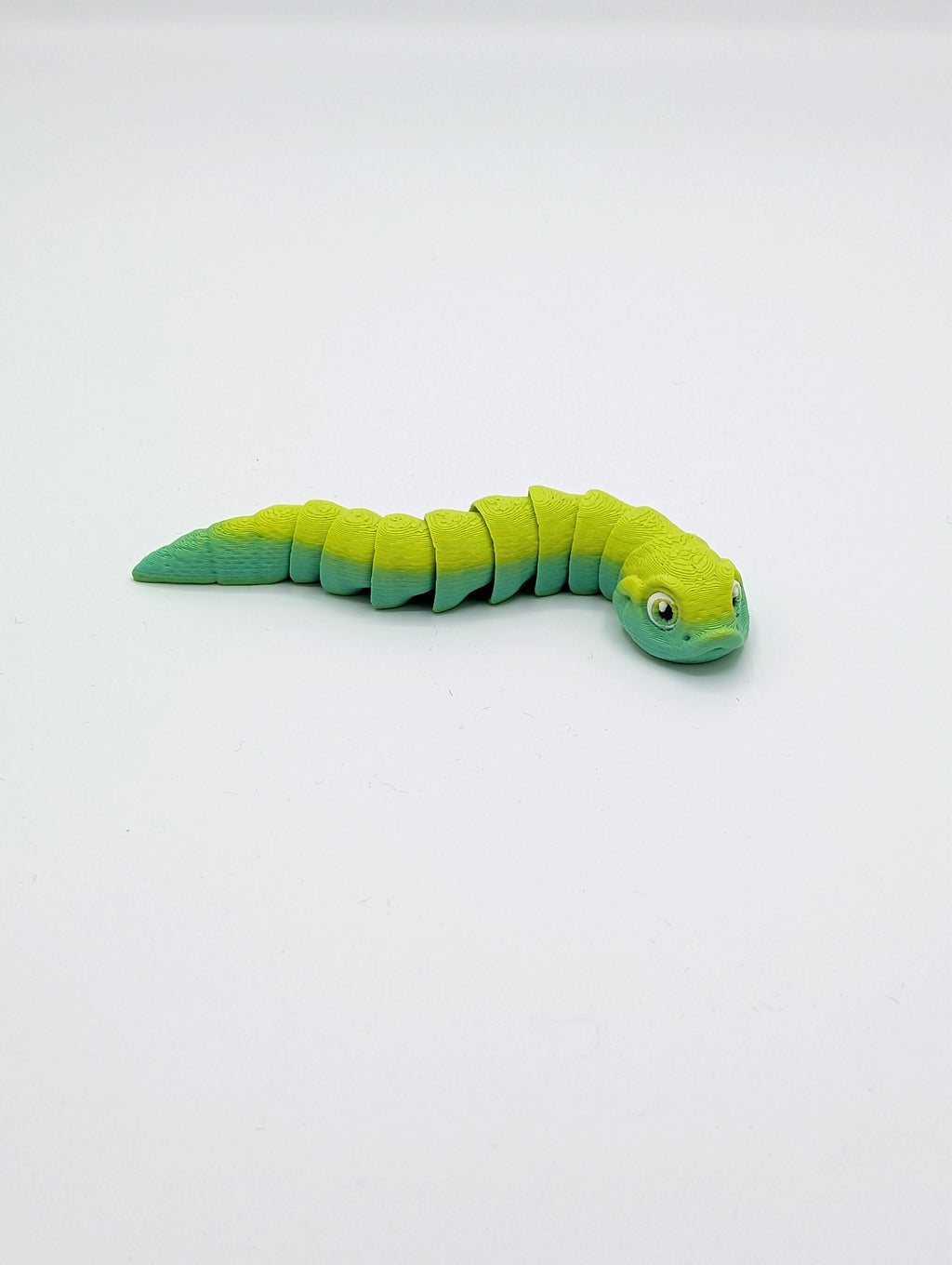 Serpente muso di porco Baby Fidget