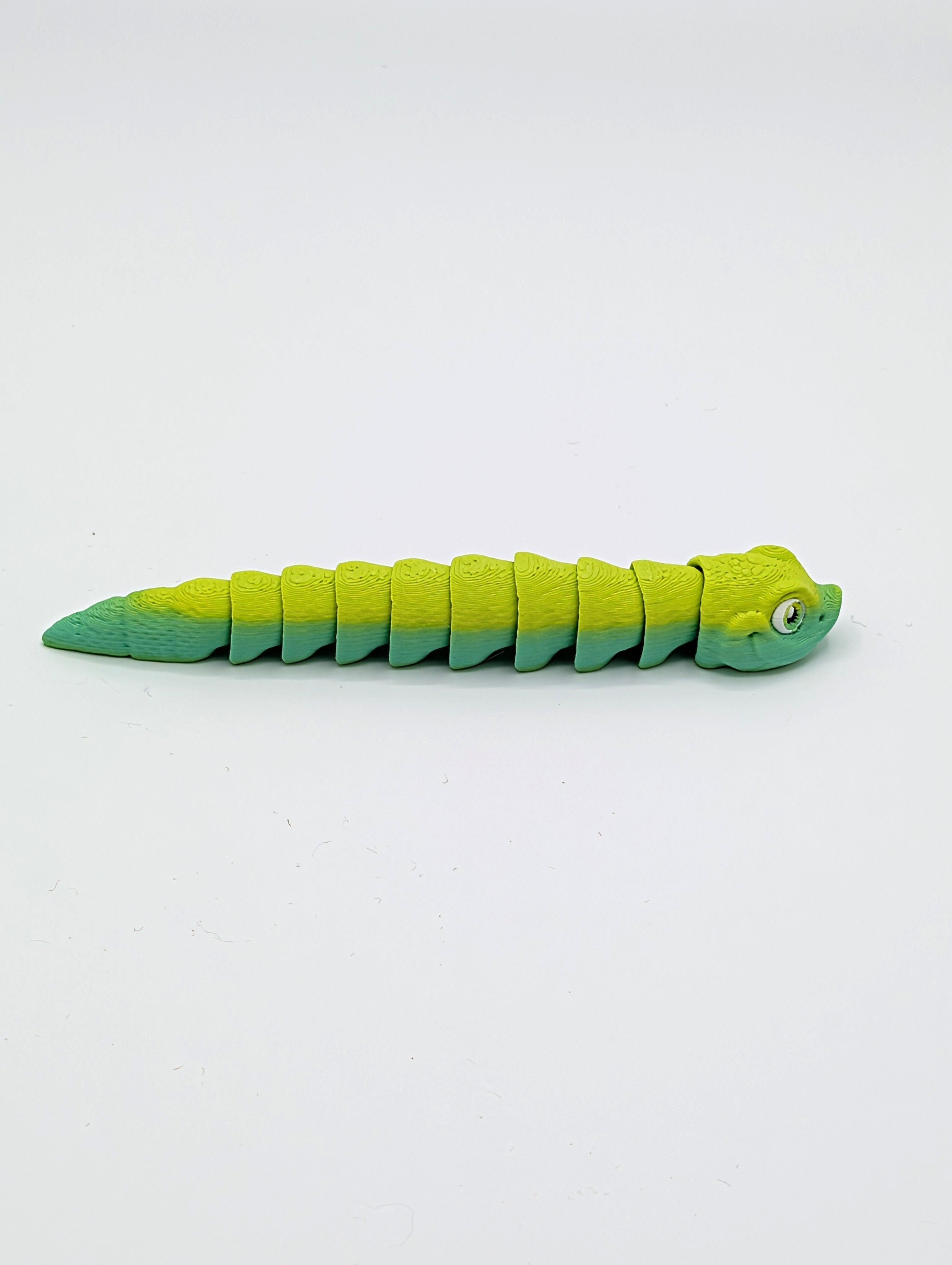 Serpente muso di porco Baby Fidget