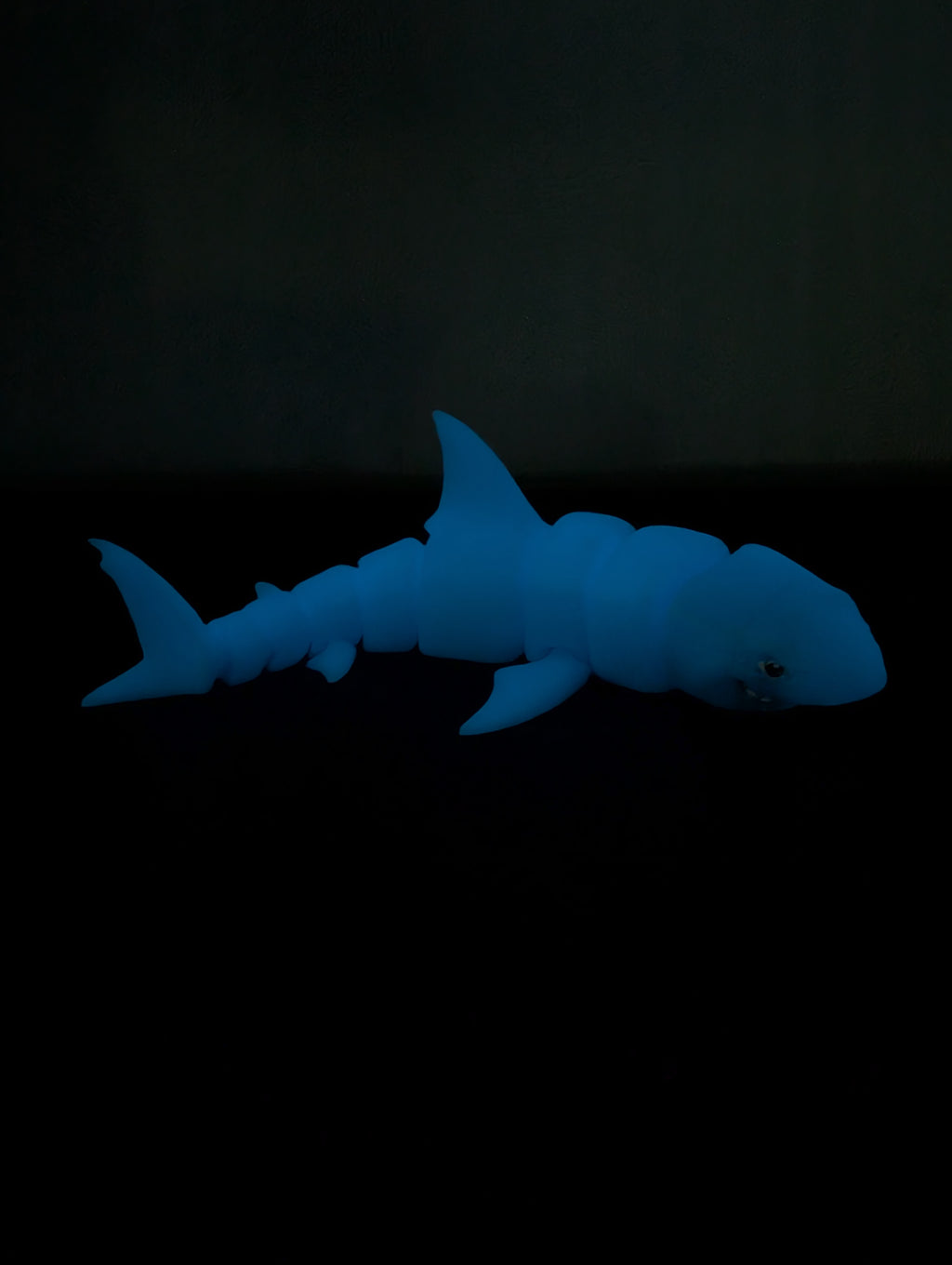 Squalo Fidget Luminescente