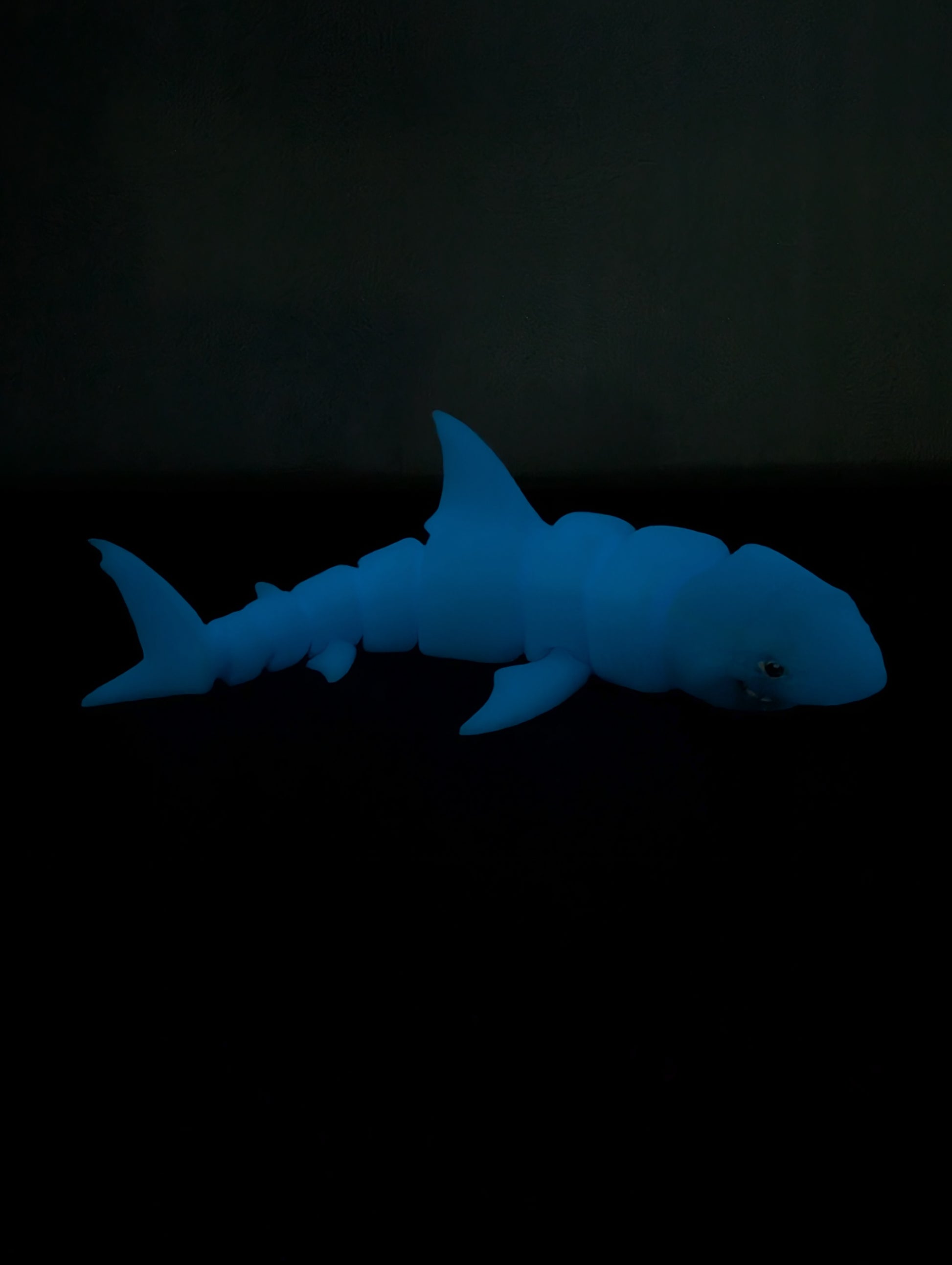 Squalo Fidget Luminescente