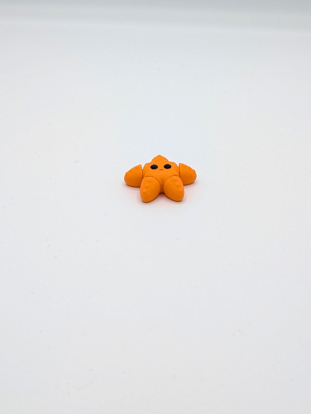 Stella marina mini fidget