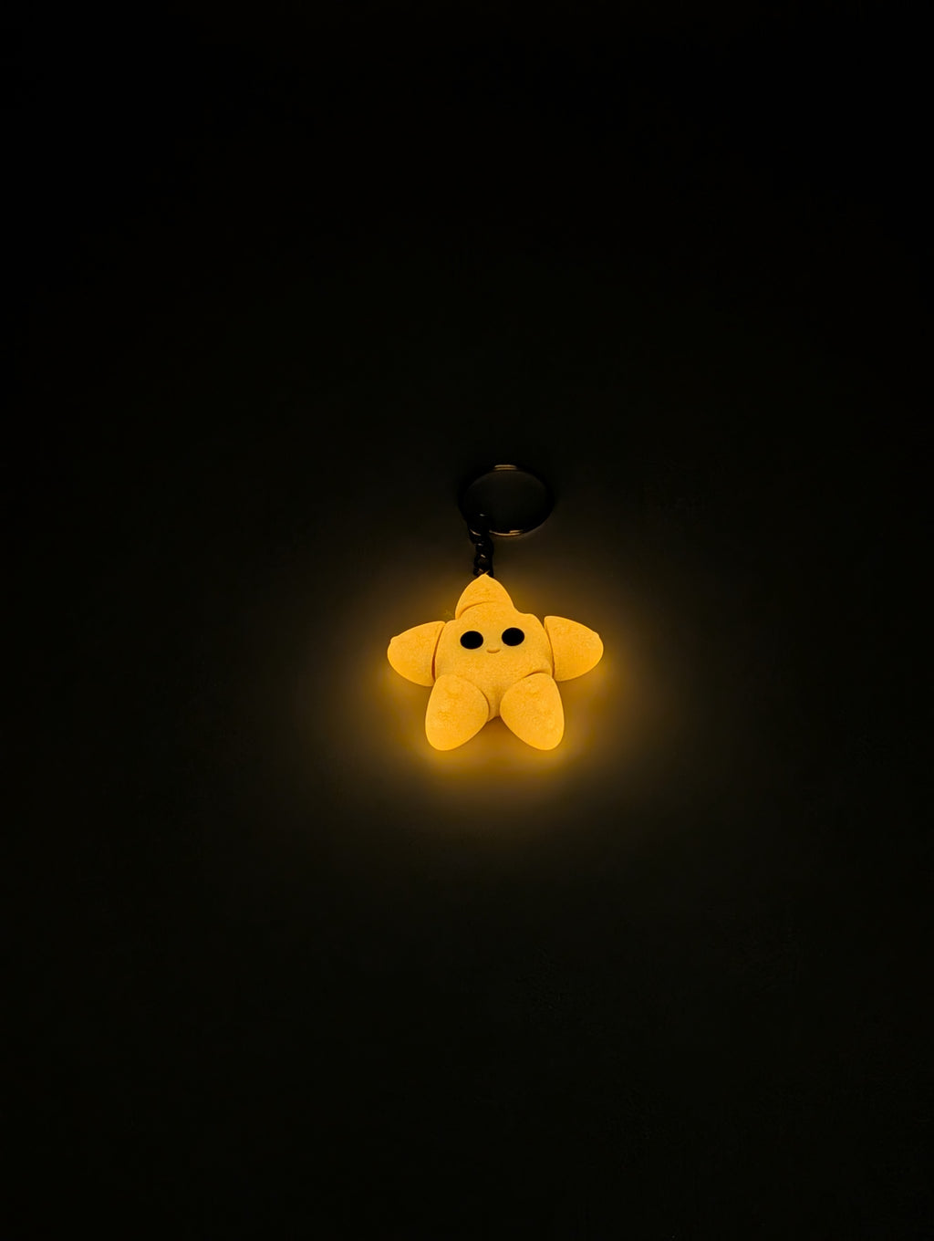 Stella marina luminescente portachiavi fidget