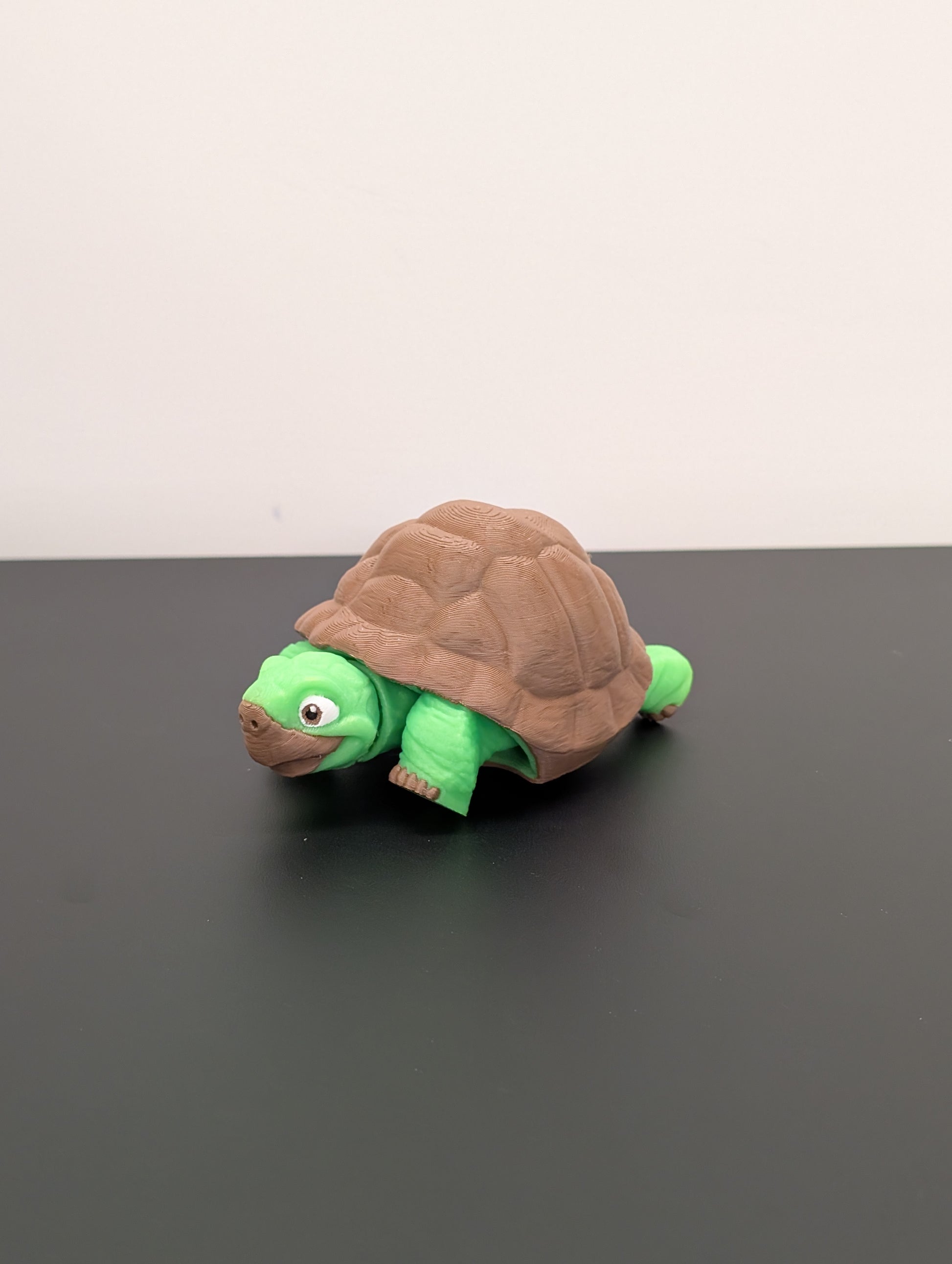 Tartaruga Fidget Luminescente
