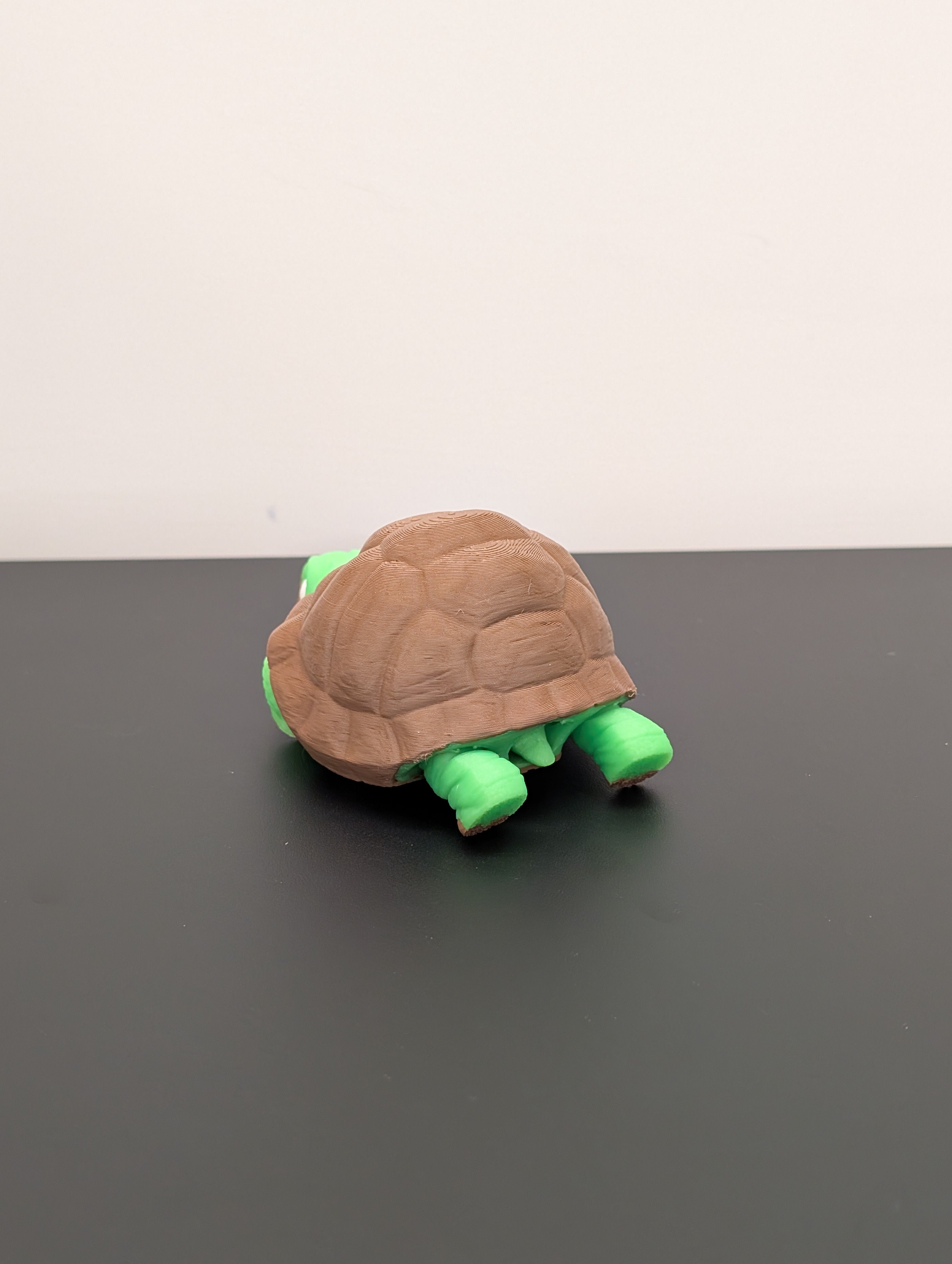 Tartaruga Fidget Luminescente