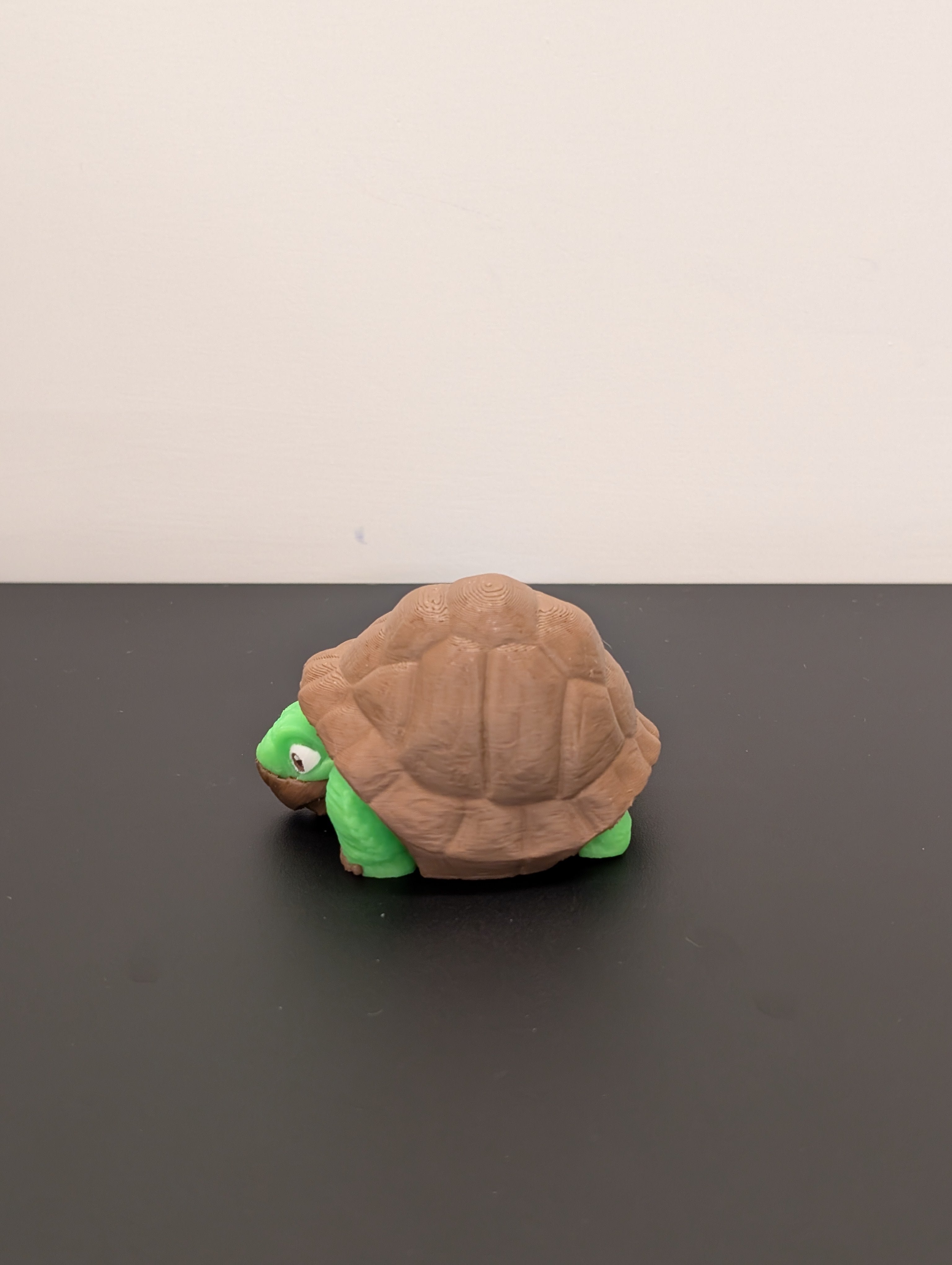 Tartaruga Fidget Luminescente