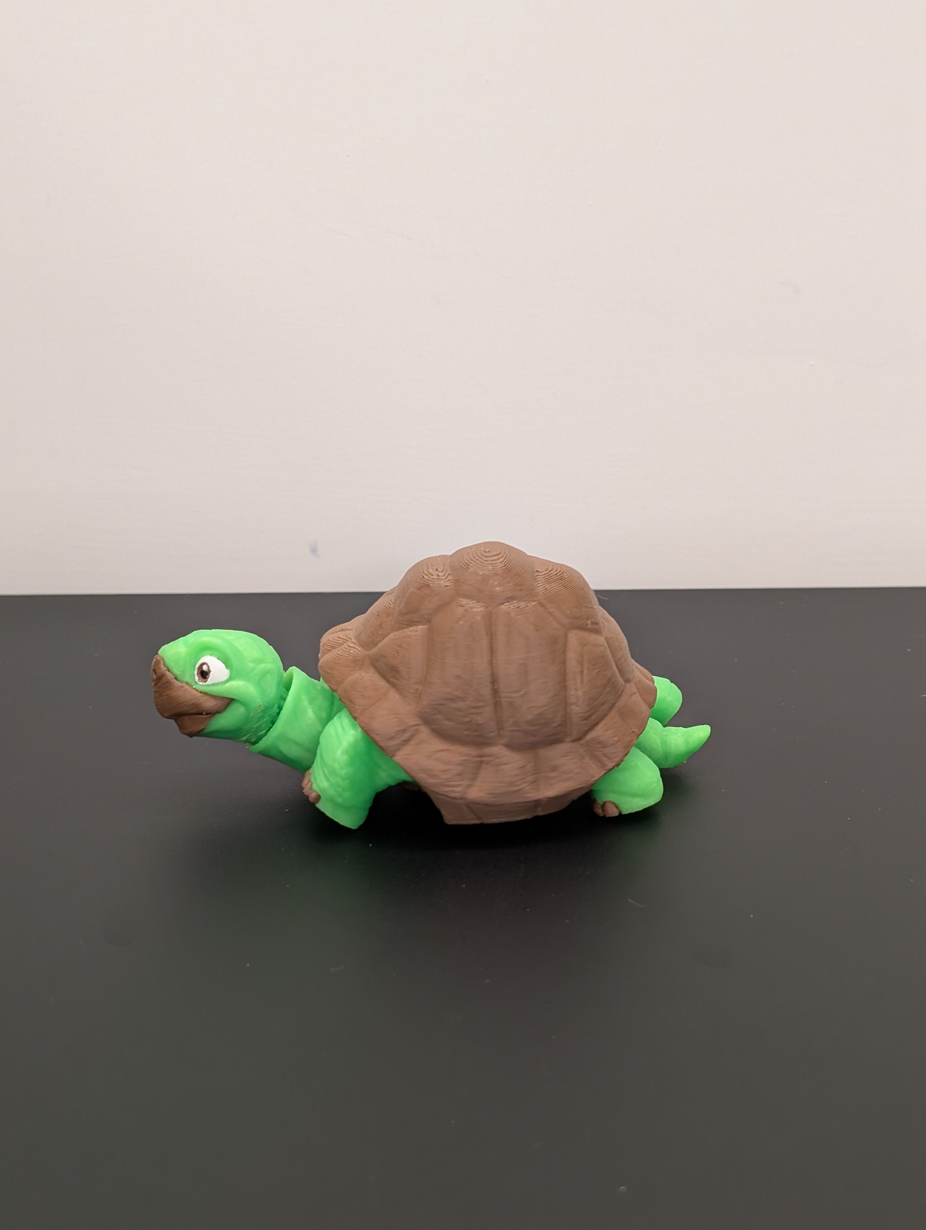 Tartaruga Fidget Luminescente