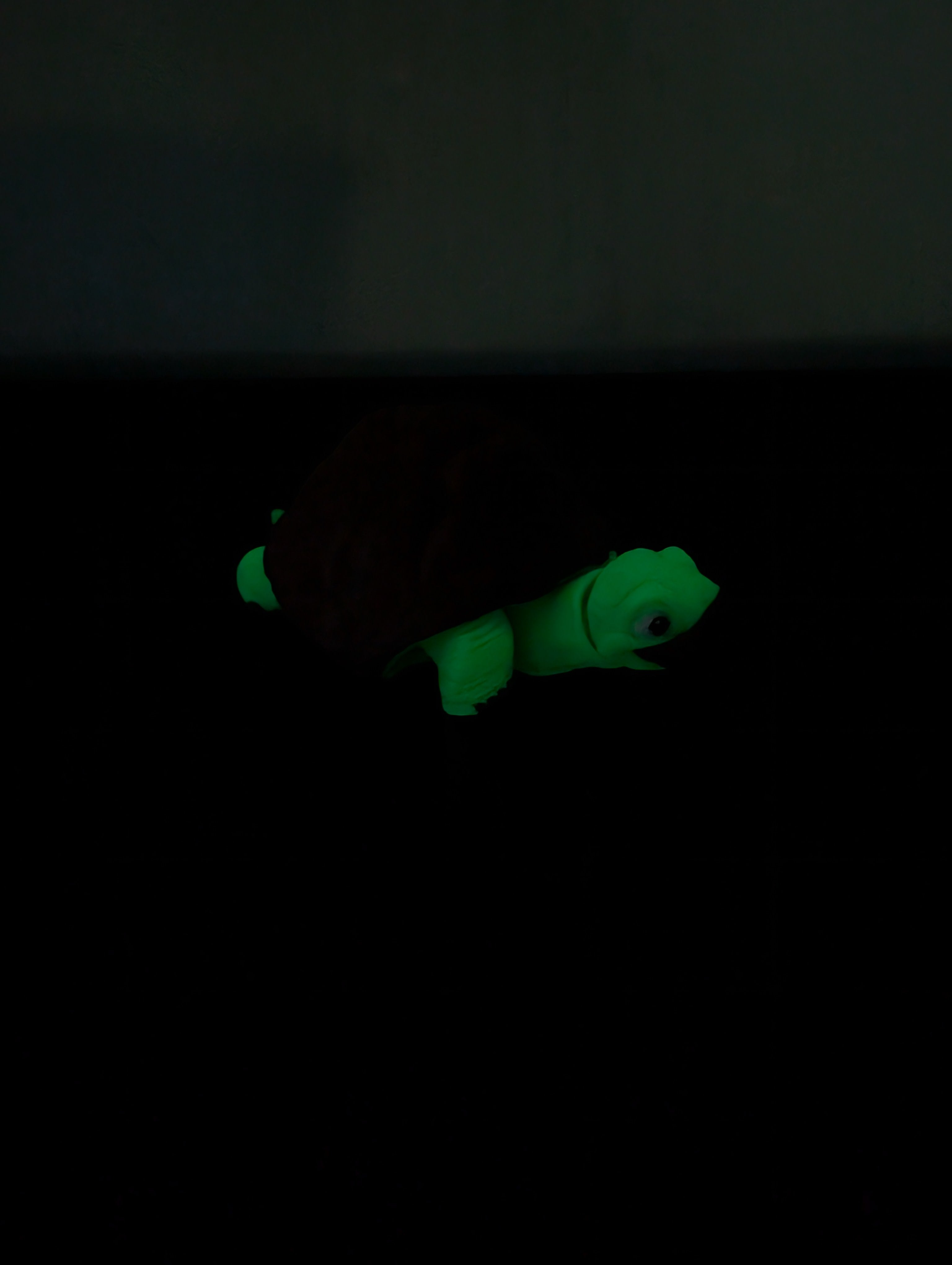 Tartaruga Fidget Luminescente