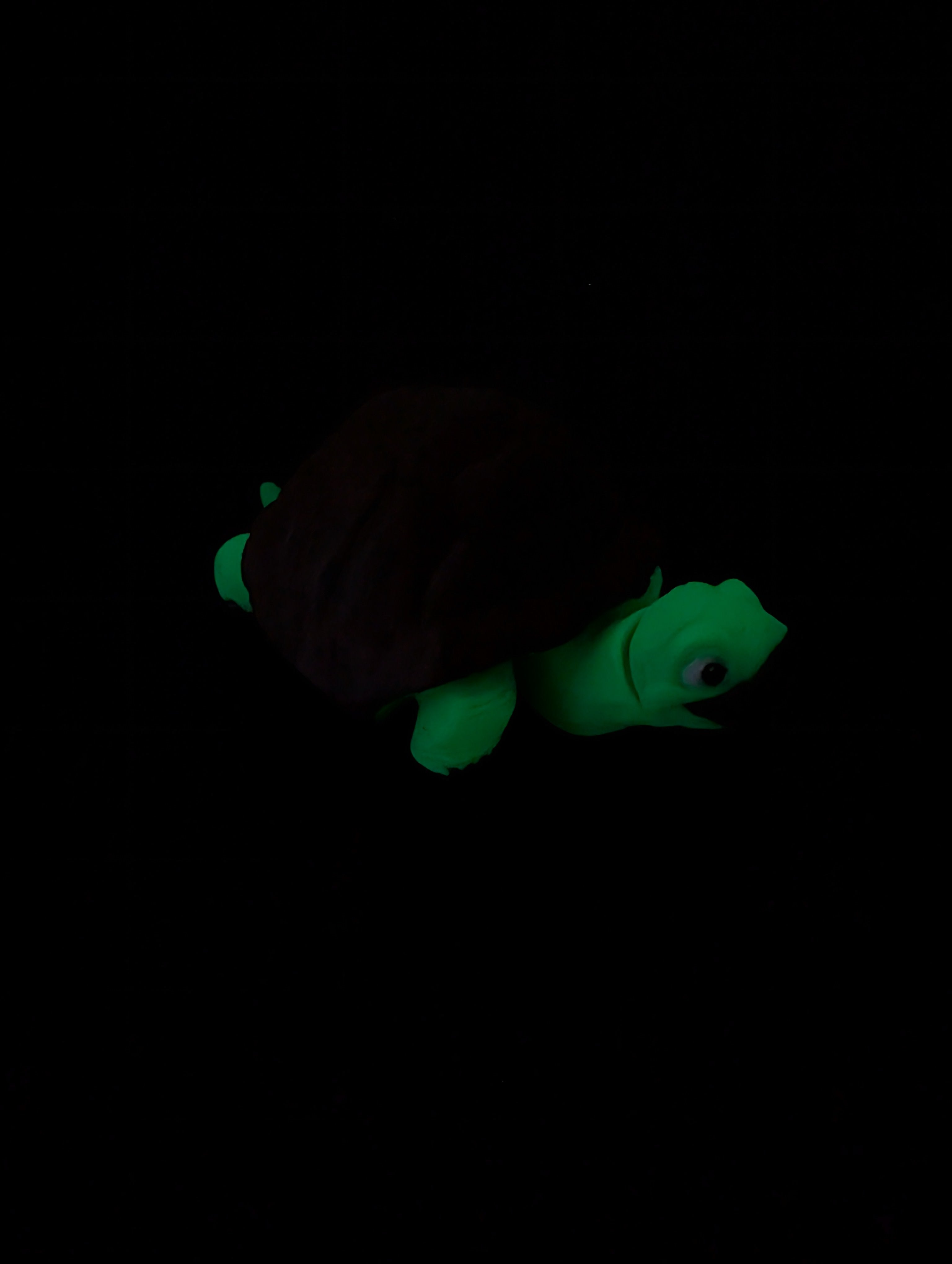 Glow-in-the-dark Fidget Turtle