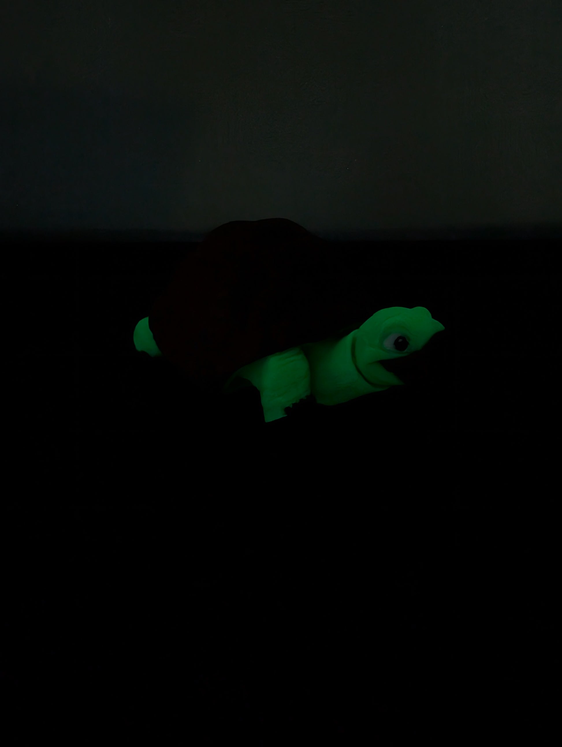 Tartaruga Fidget Luminescente
