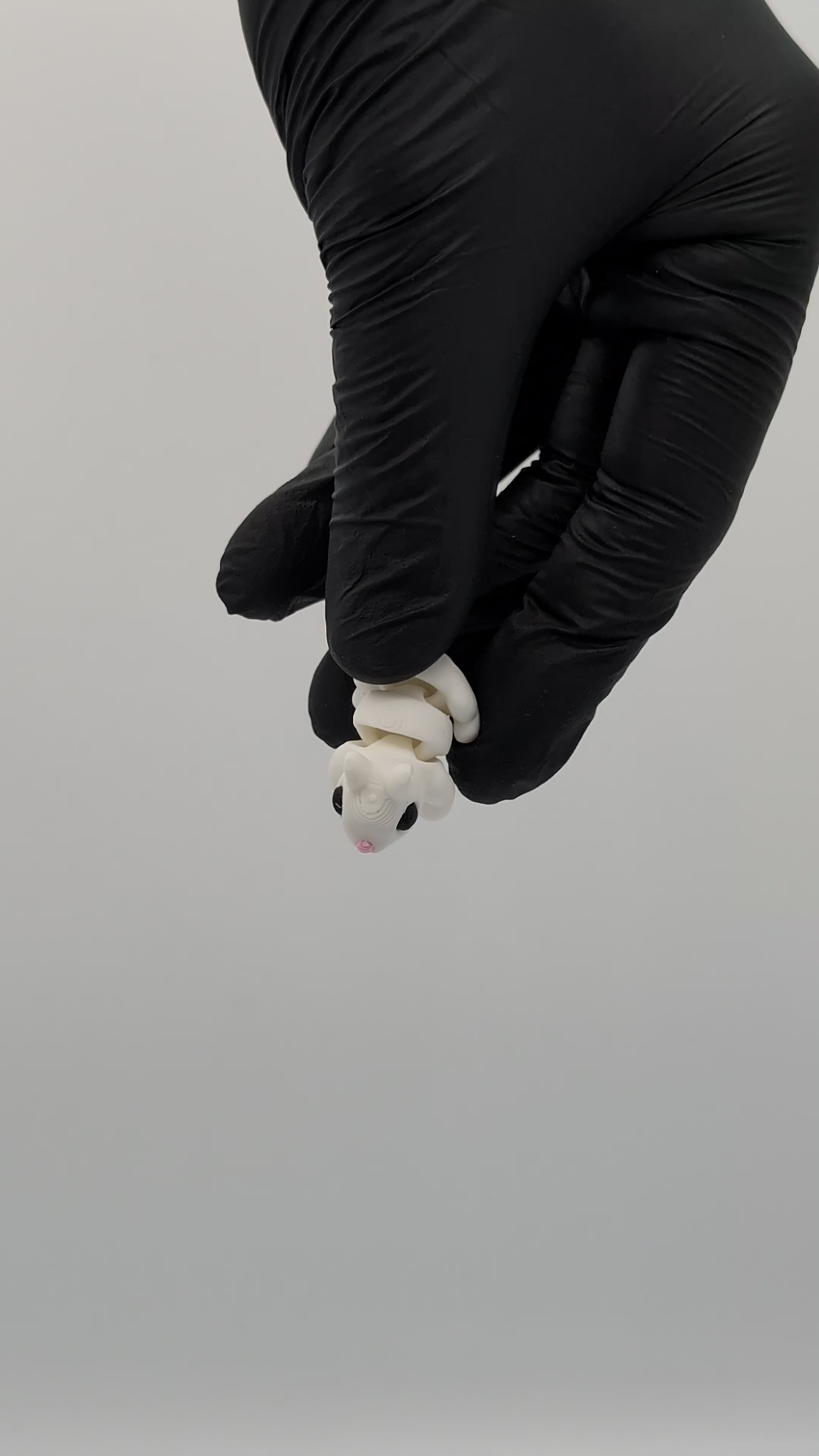 Coniglio mini fidget