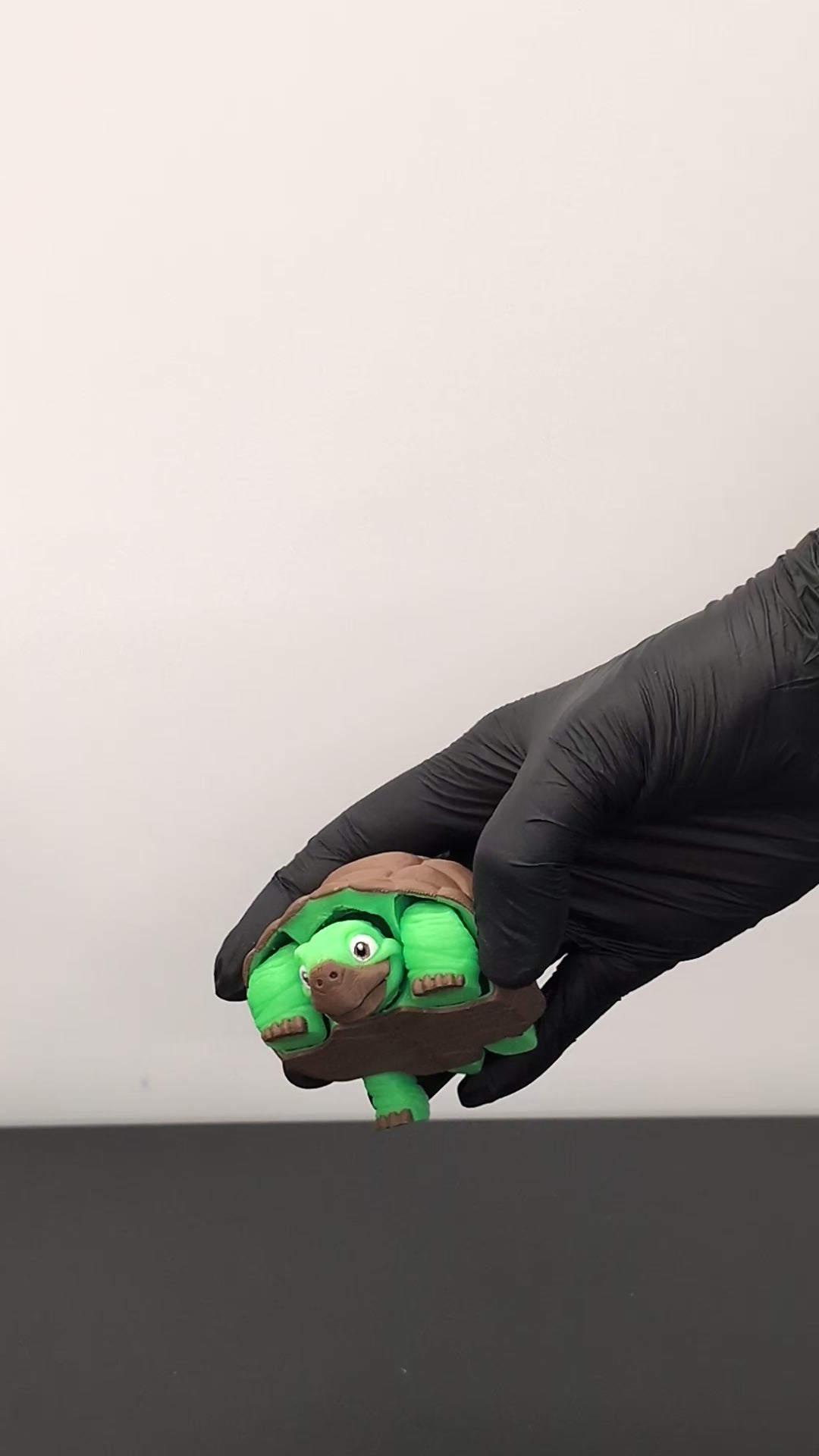 Glow-in-the-dark Fidget Turtle