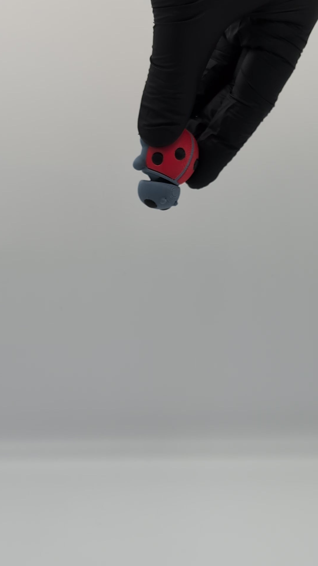 Mini fidget de mariquita