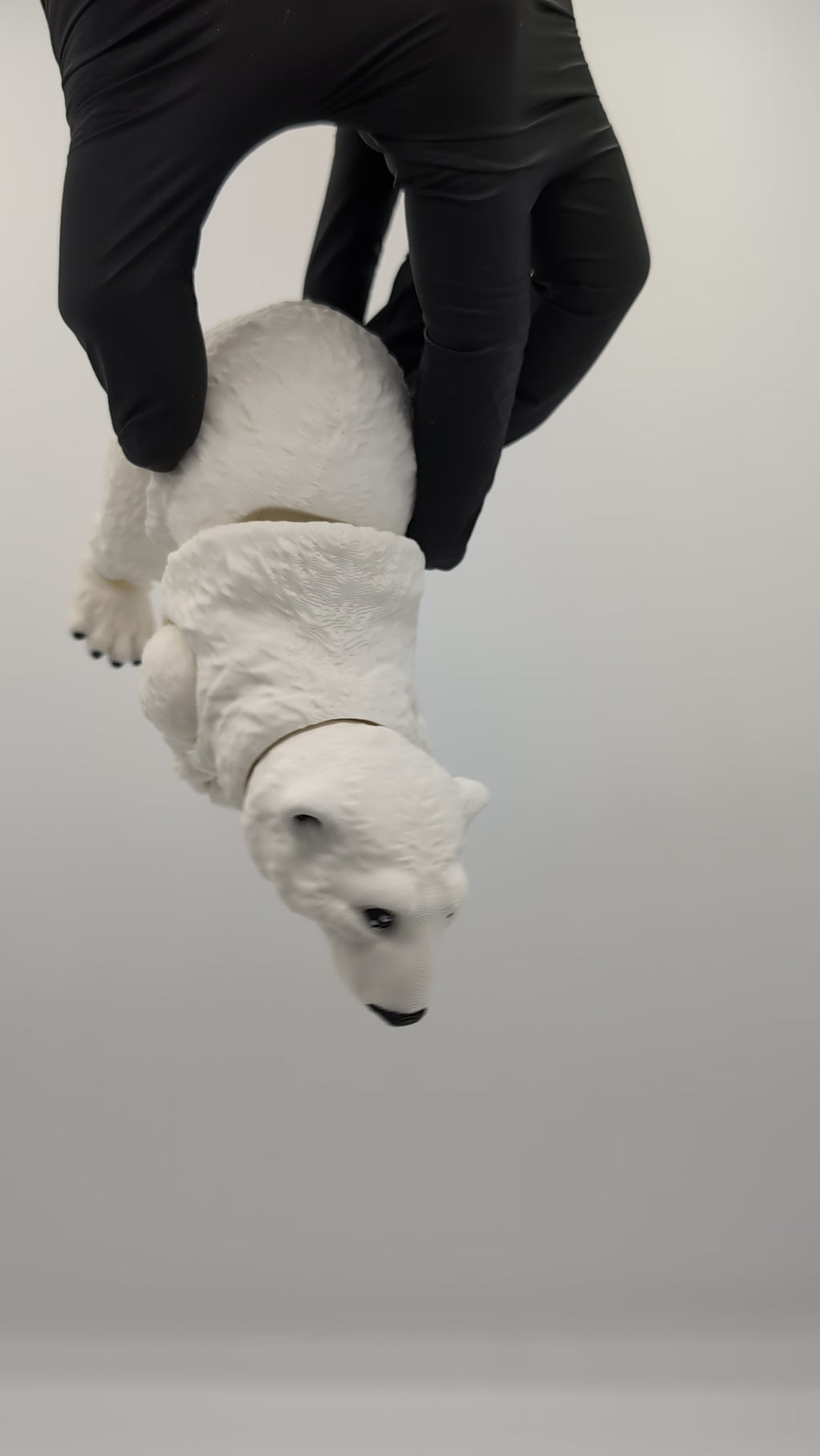 Fidget de oso polar