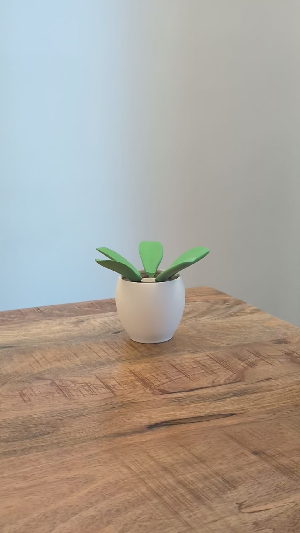 Orchidea Aromatica, diffusore d'incenso