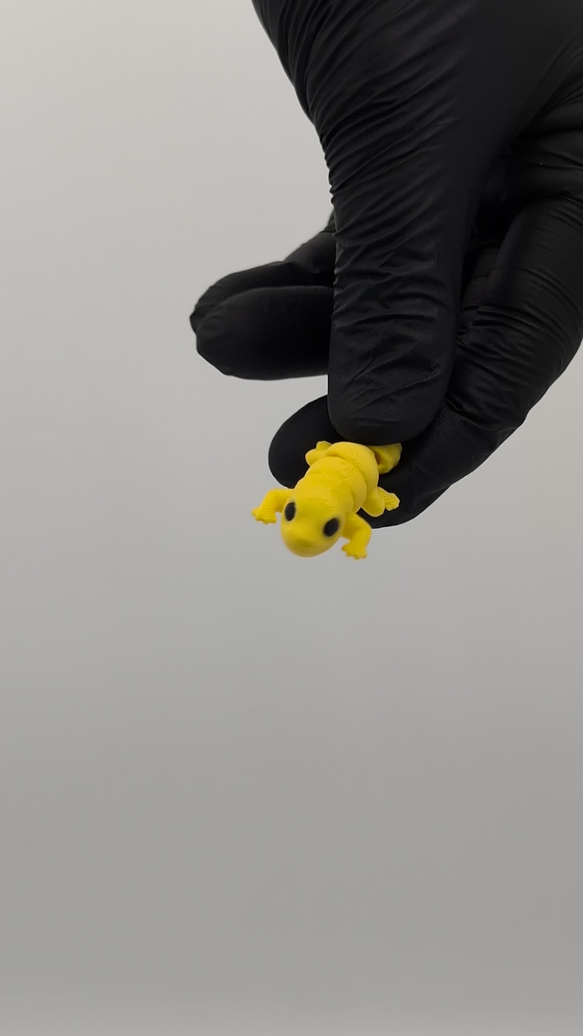 Geco leopardino mini fidget