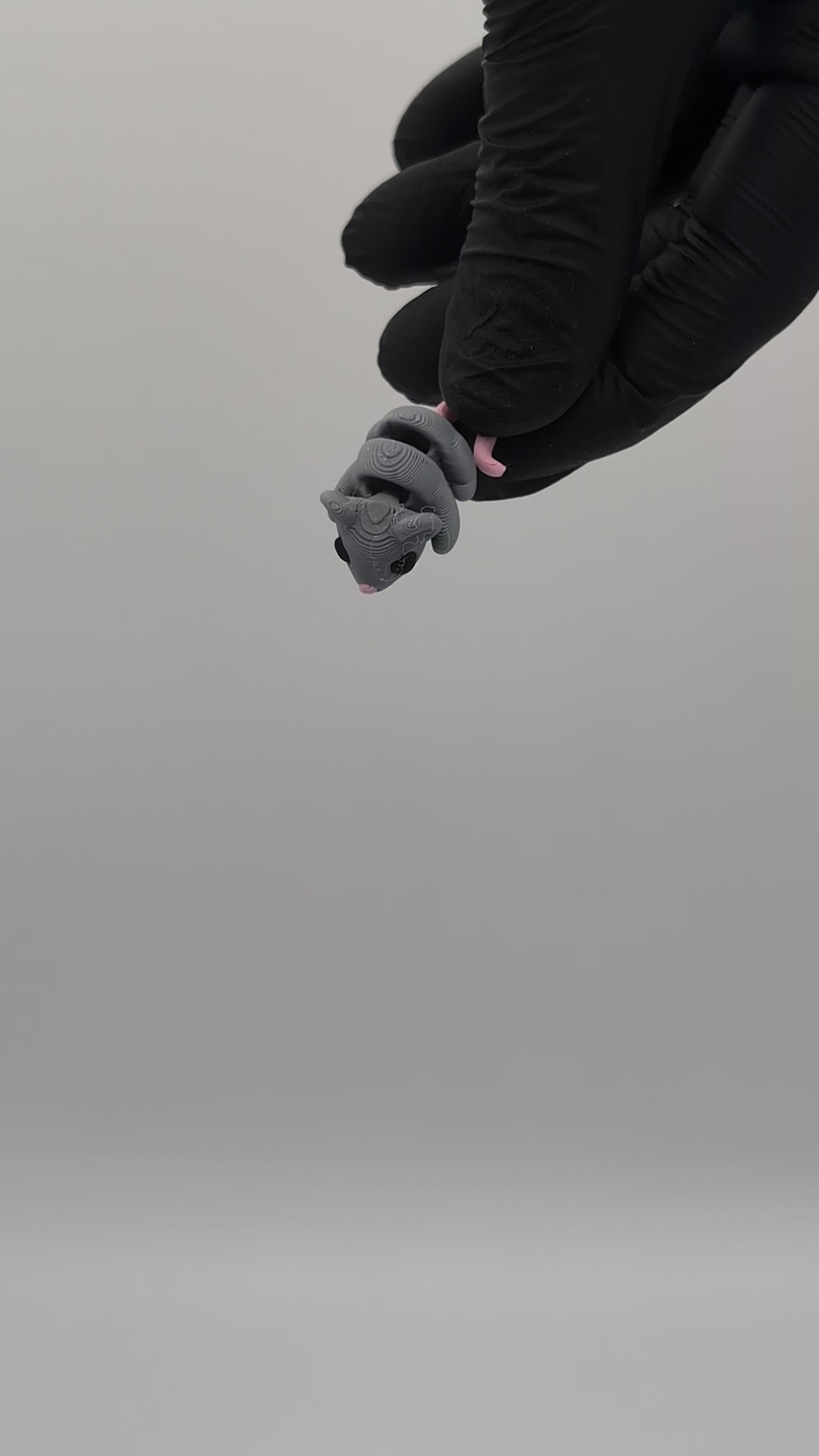 Topo mini fidget