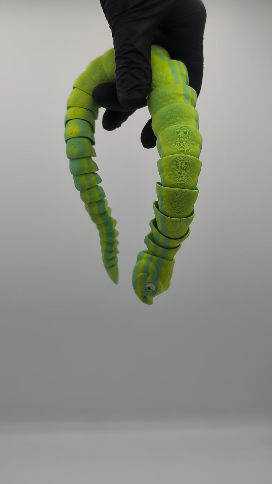 Serpente muso di porco Maxi Fidget