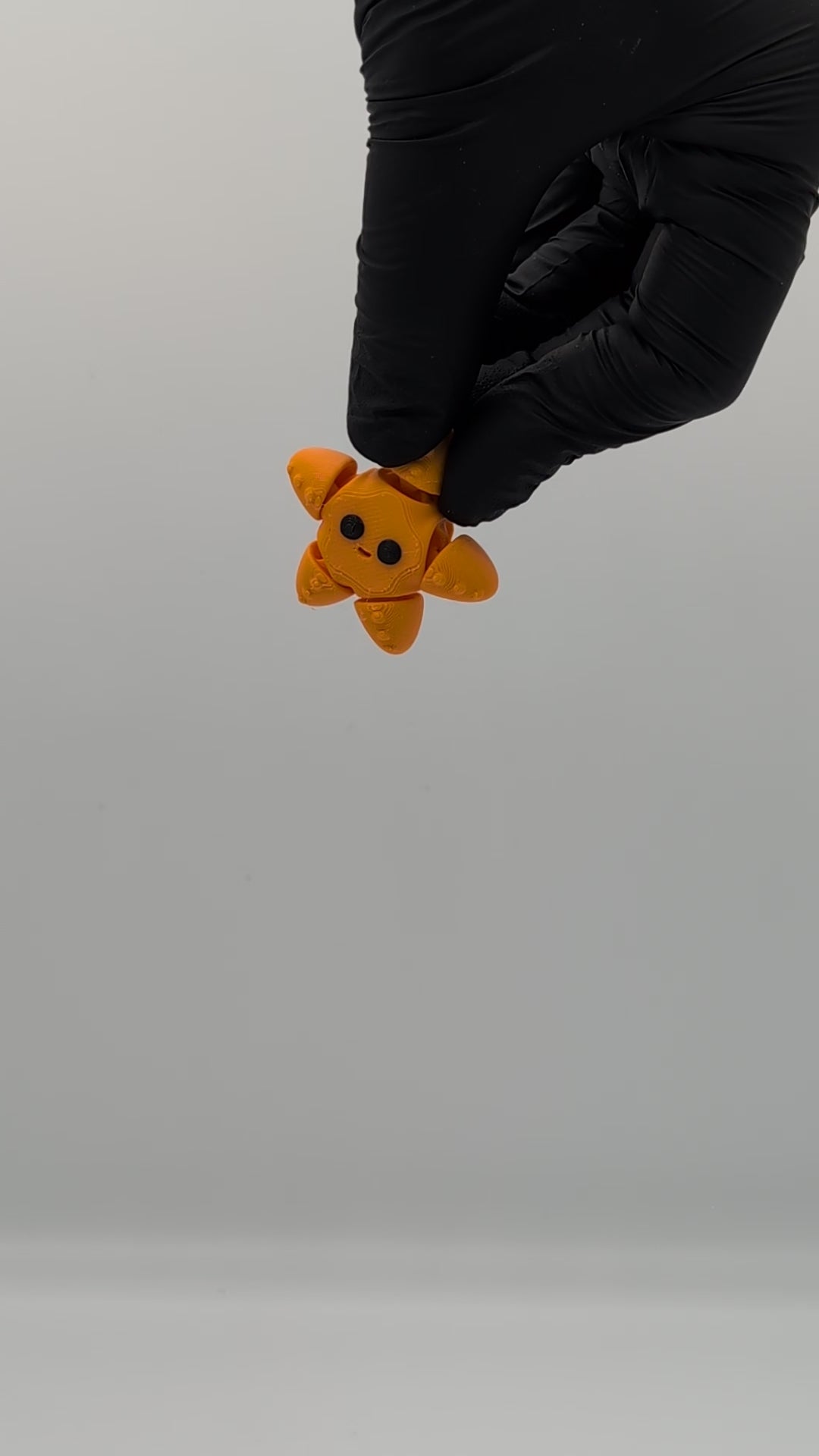 Stella marina mini fidget