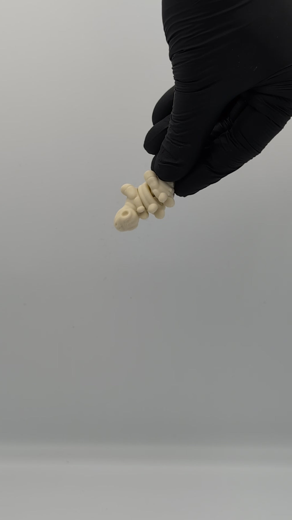Stegosaurus fossil skeleton mini fidget