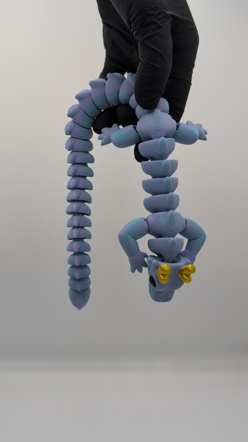 Drago Maxi Fidget