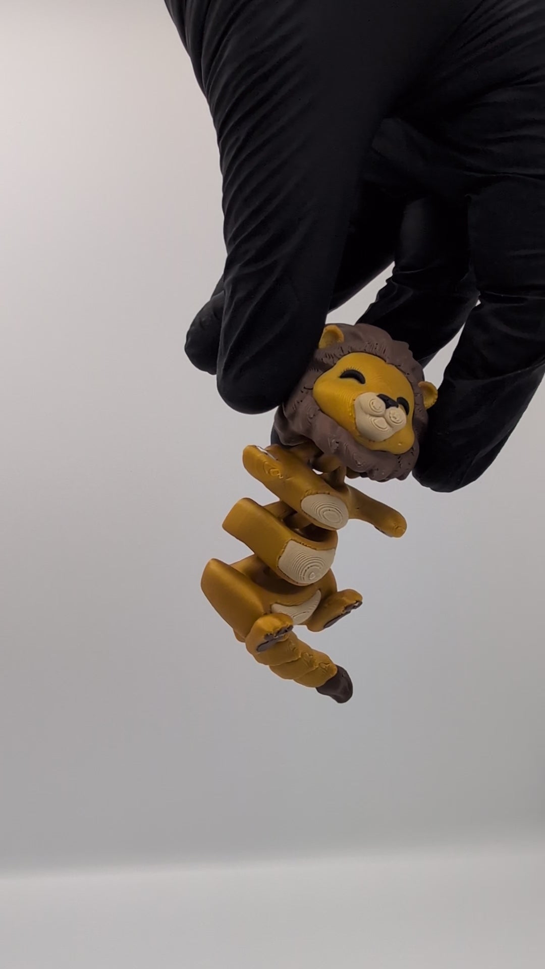 Leone e Leonessa coppia fidget