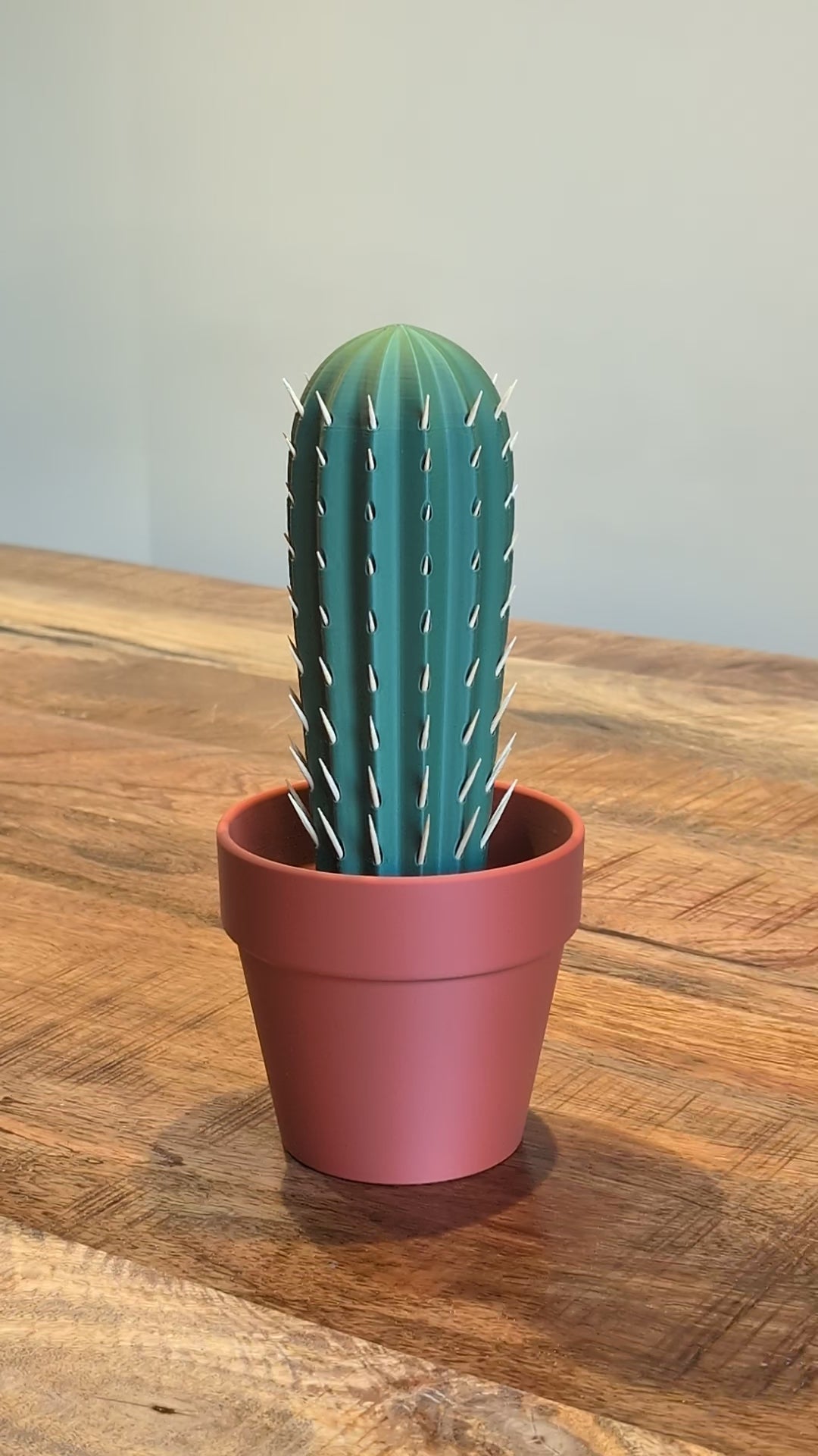 Cactus Pick, portastuzzicadenti spinoso