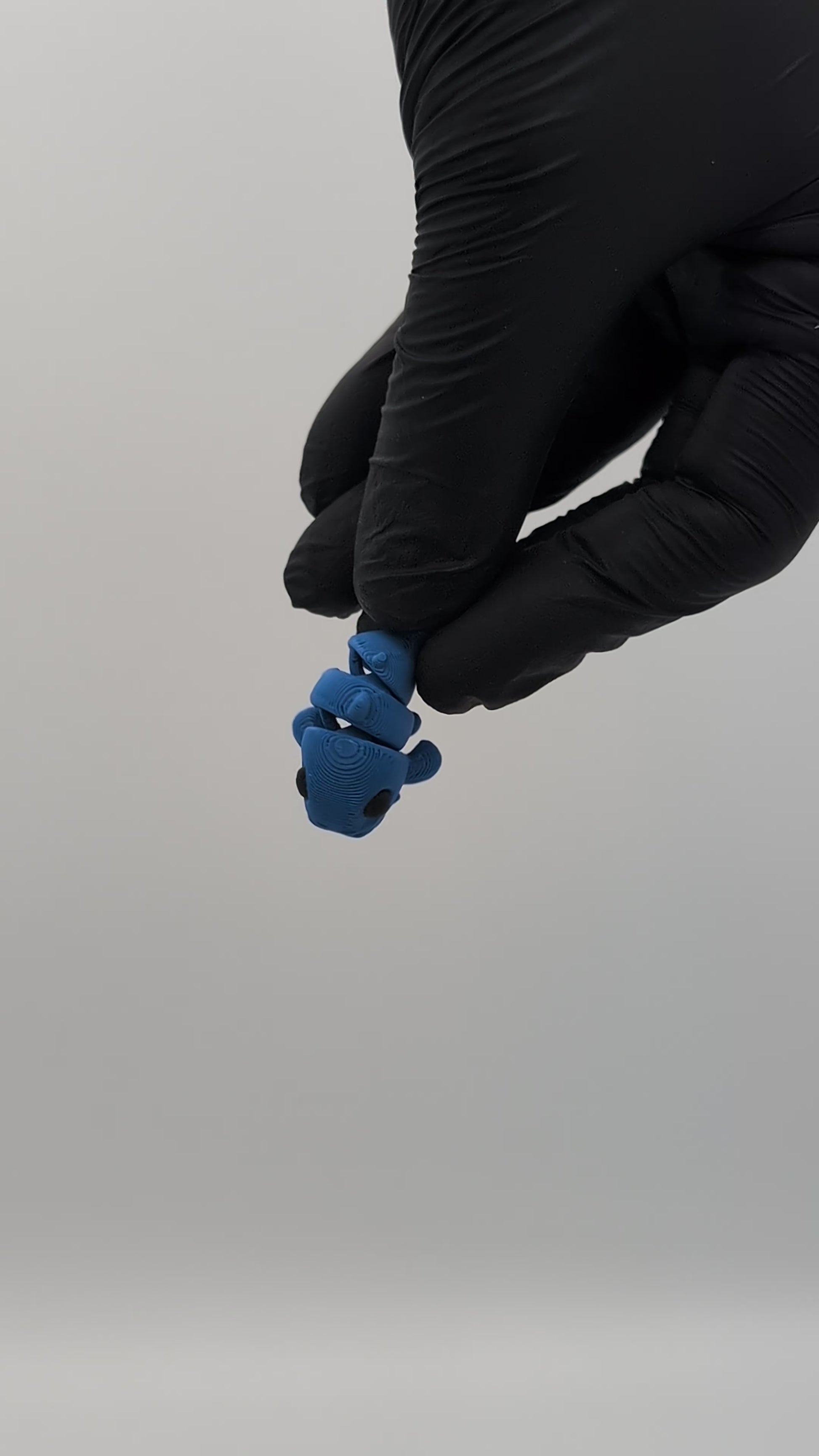 Pesce gatto mini fidget