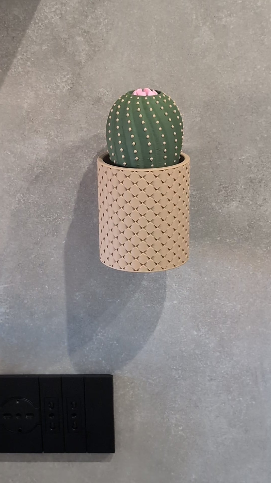 Cacty Flower, portachiavi magnetico da parete