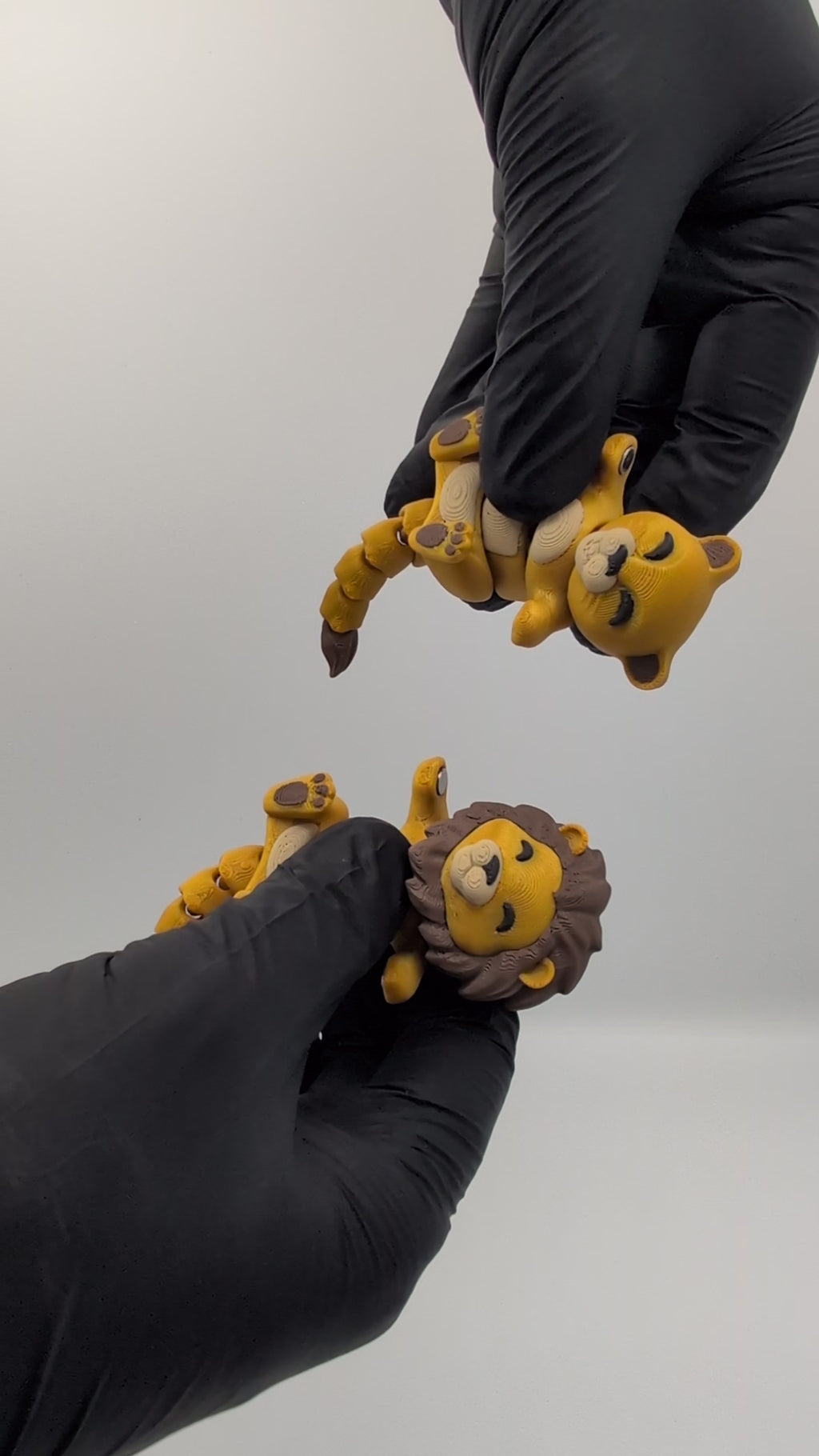 Leone e Leonessa coppia fidget