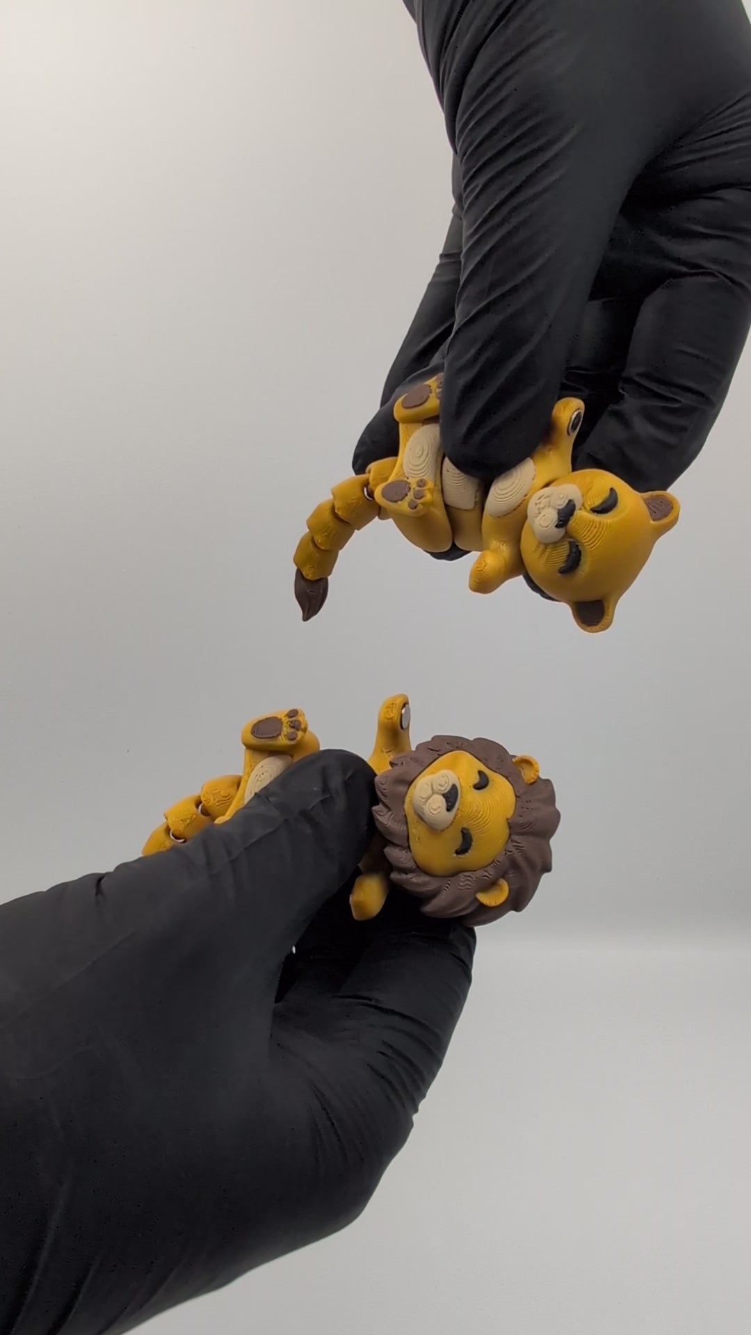 Leone e Leonessa coppia fidget