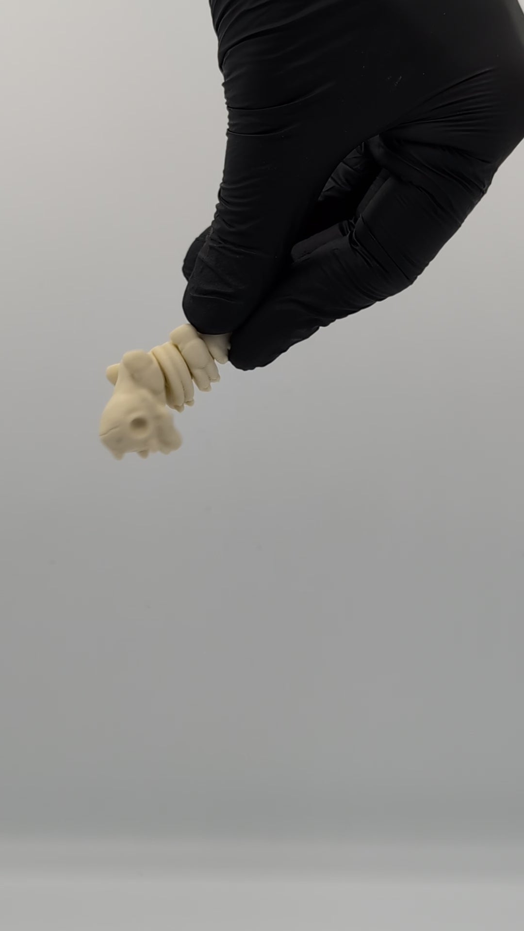 Triceratopo scheletro fossile mini fidget