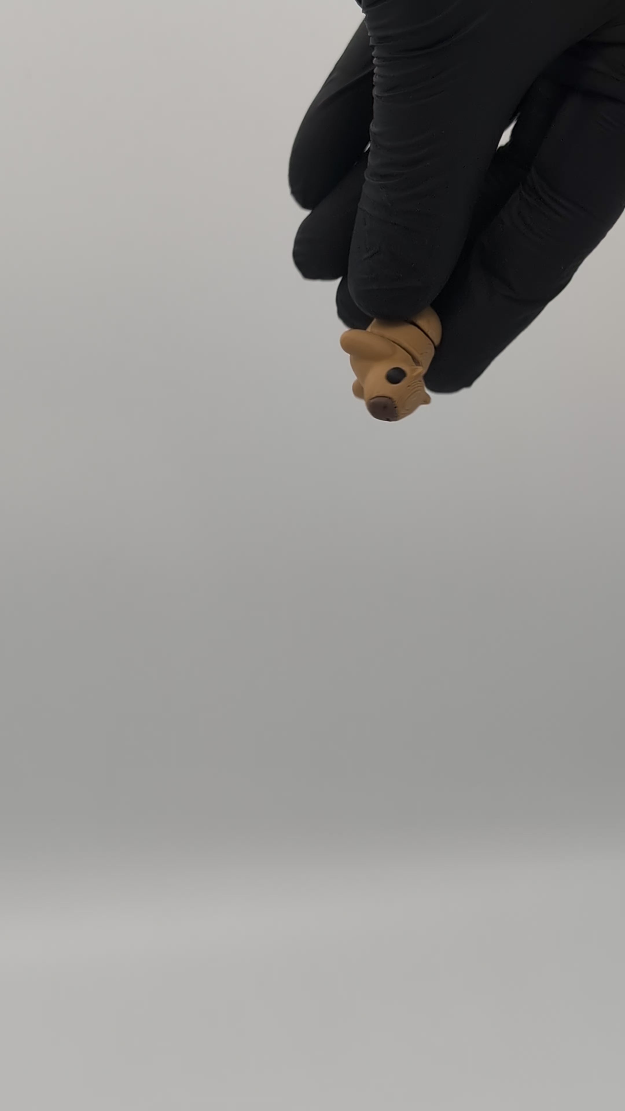 Capibara mini fidget