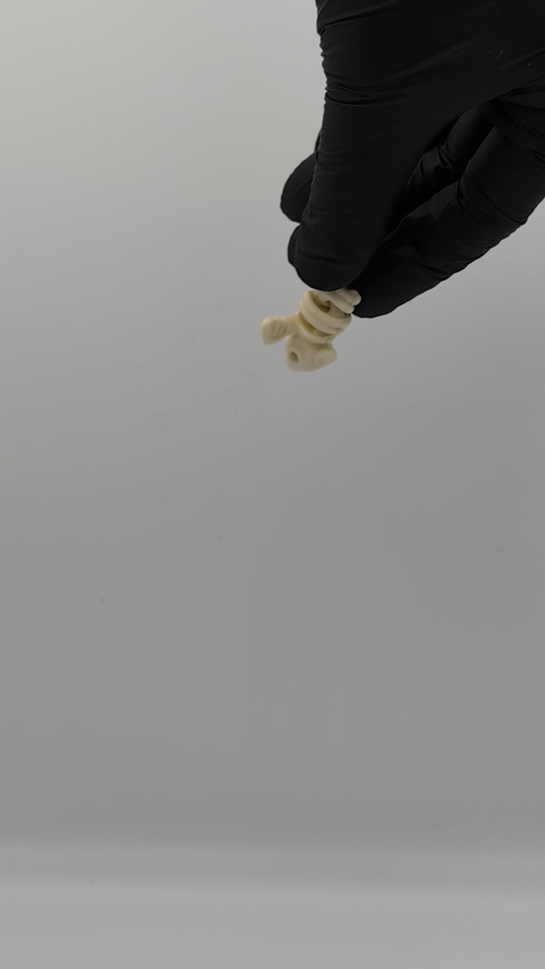 Pterodattilo scheletro fossile mini fidget