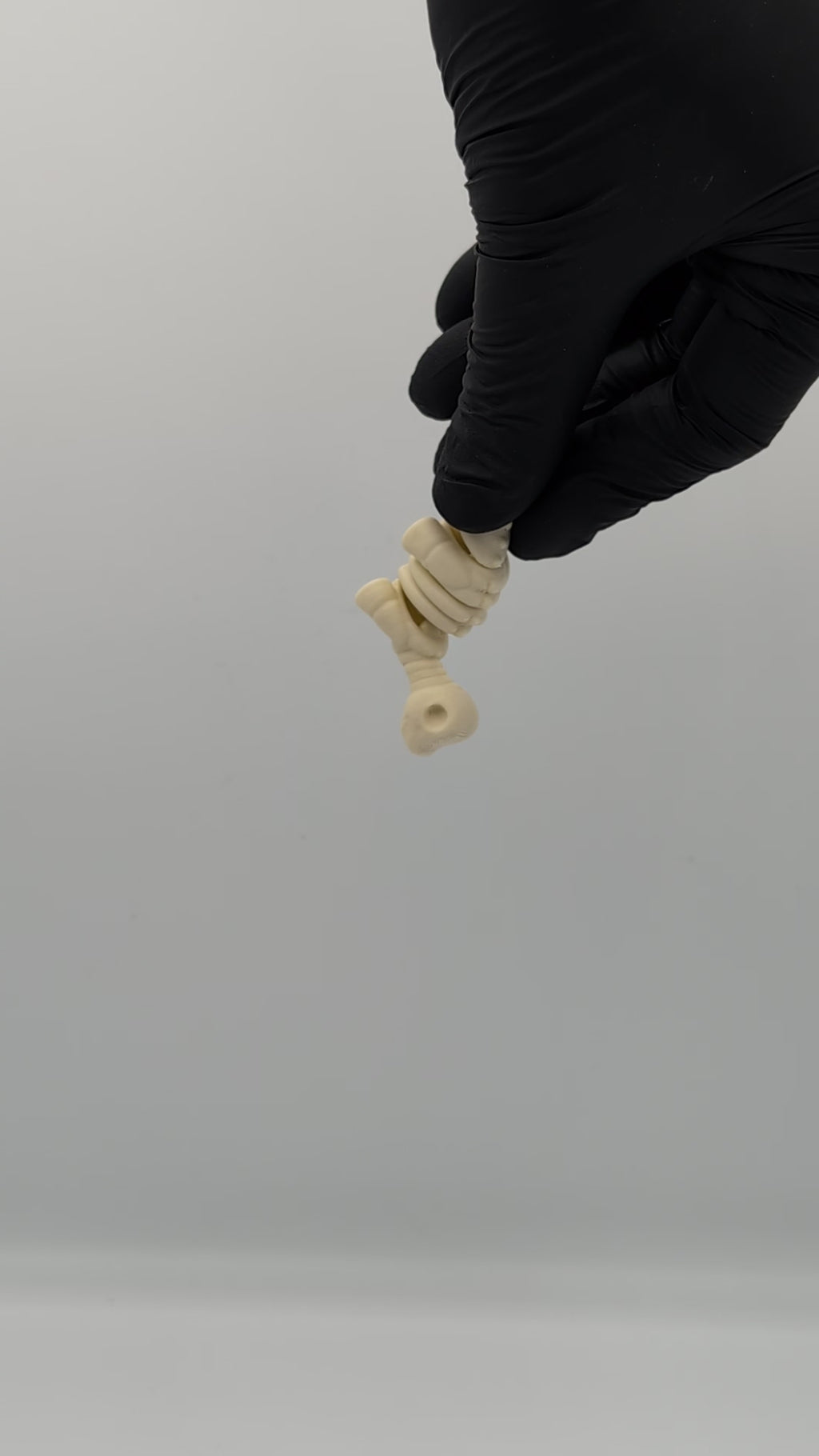 Mini fidget de brontosaurio esqueleto fósil