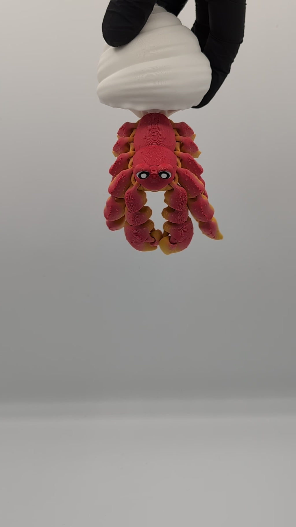 Paguro fidget