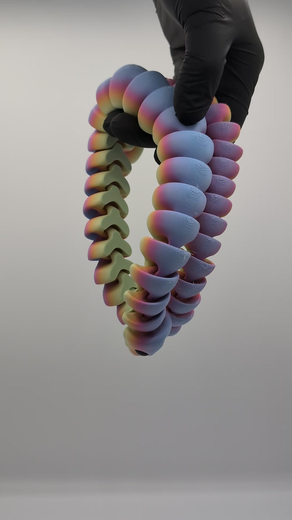 Maxi Fidget Rainbow Snake