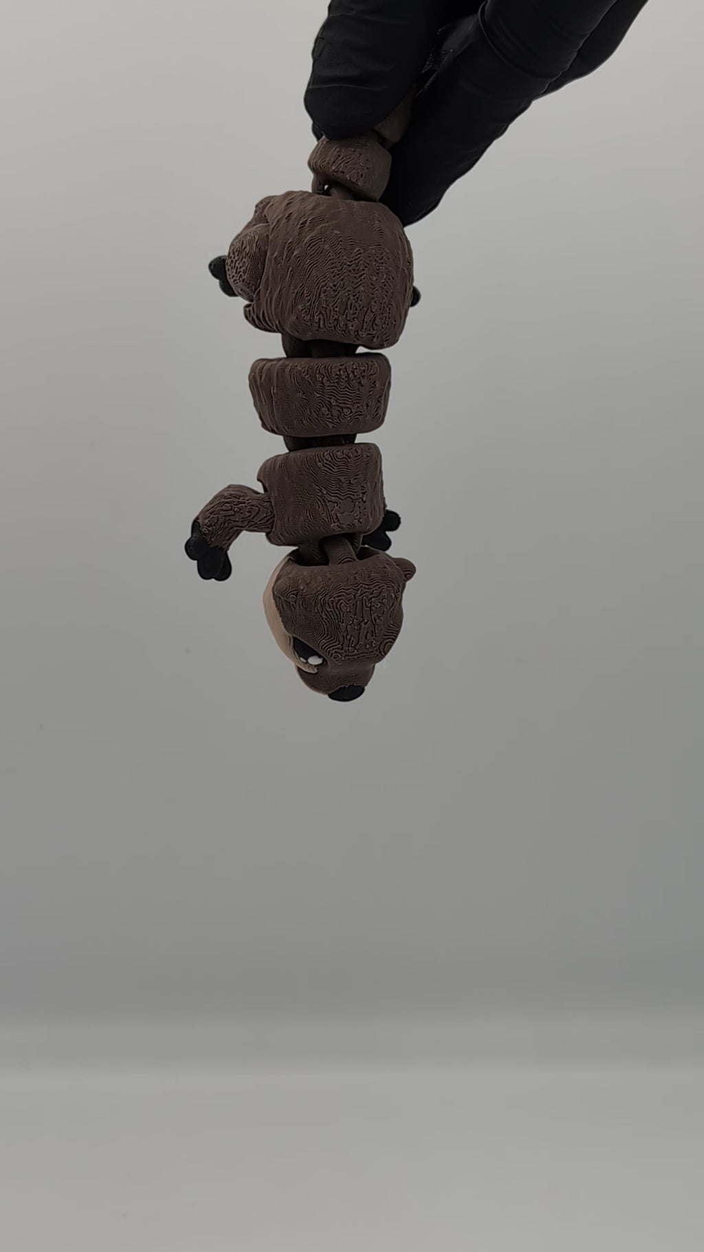 Lontra fidget