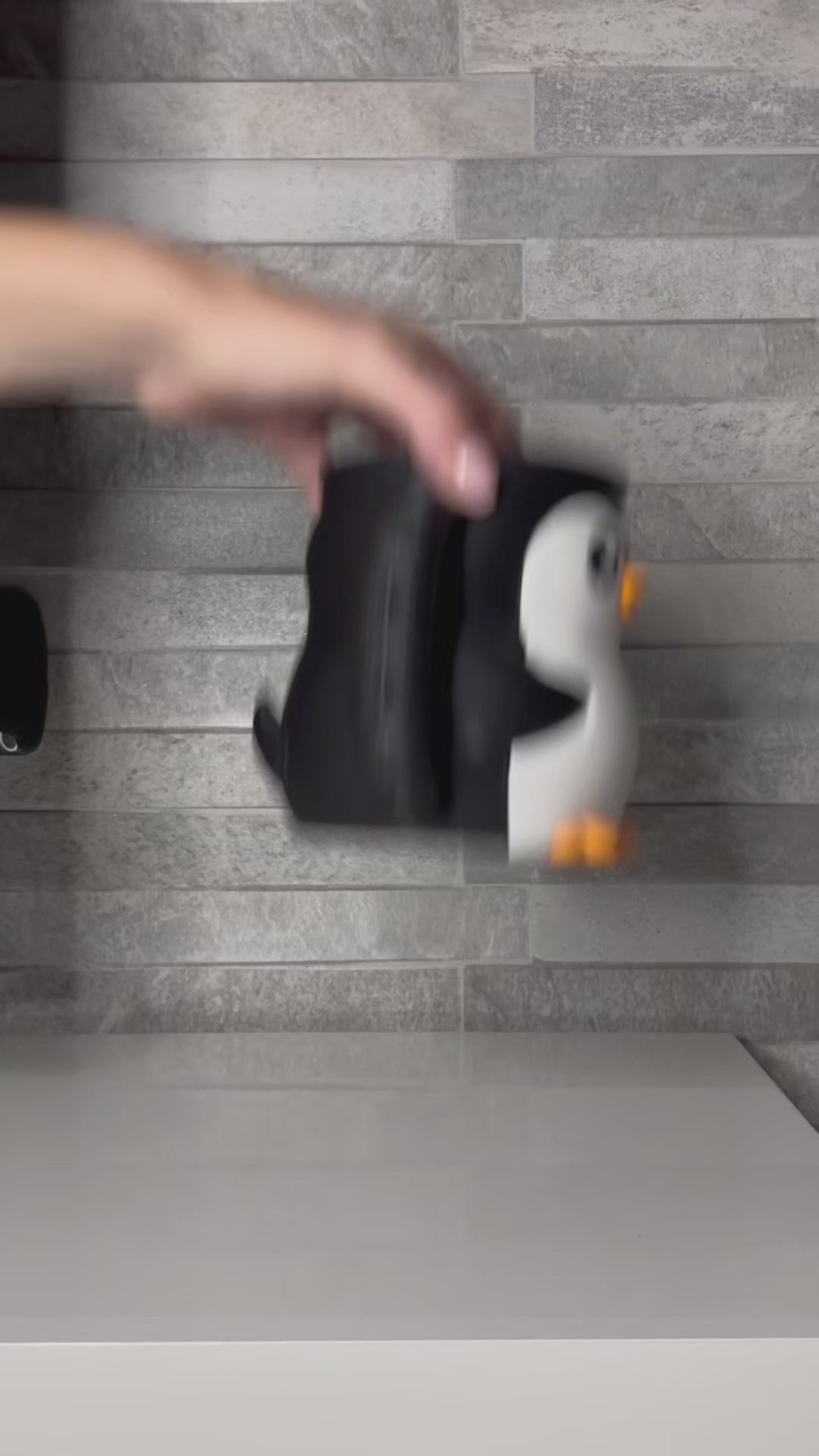 pinguino contenitore gelato