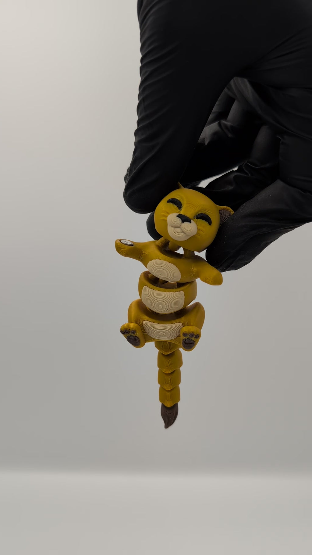 Leone e Leonessa coppia fidget