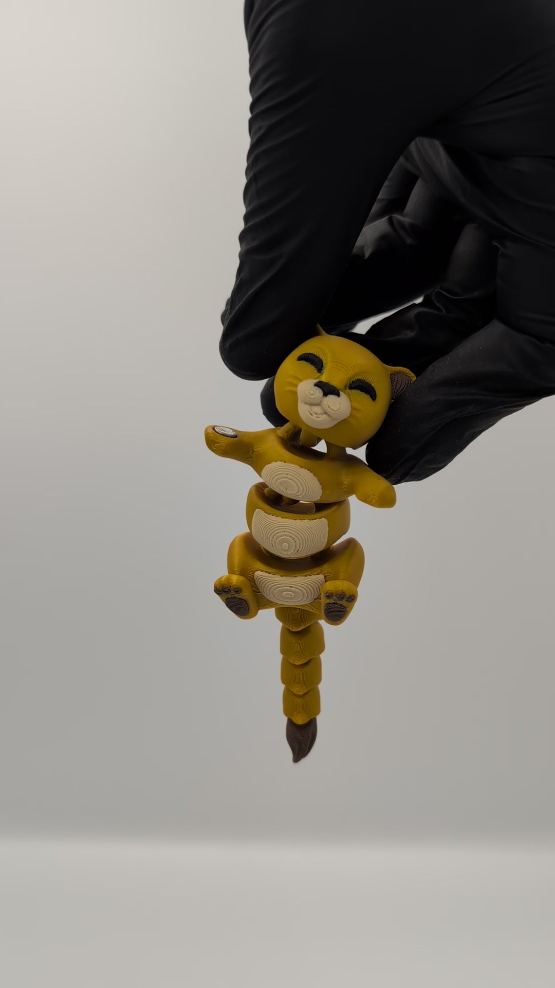 Leone e Leonessa coppia fidget