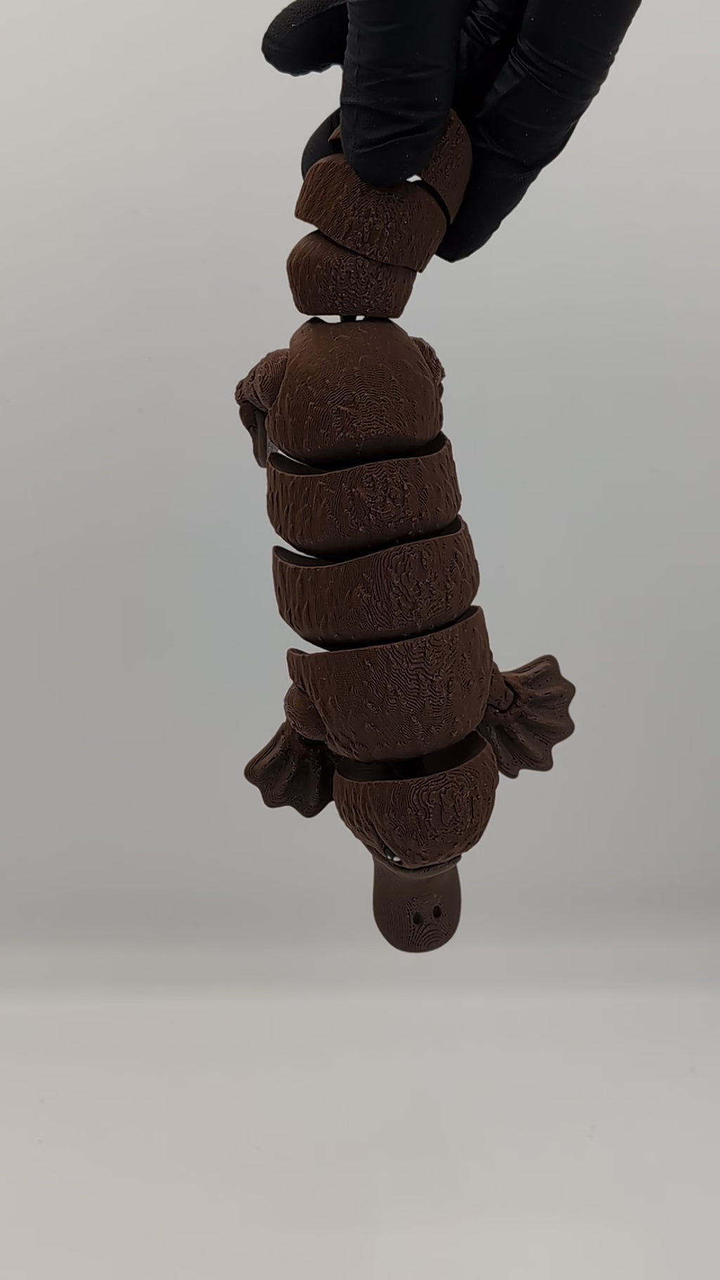 Ornitorinco fidget